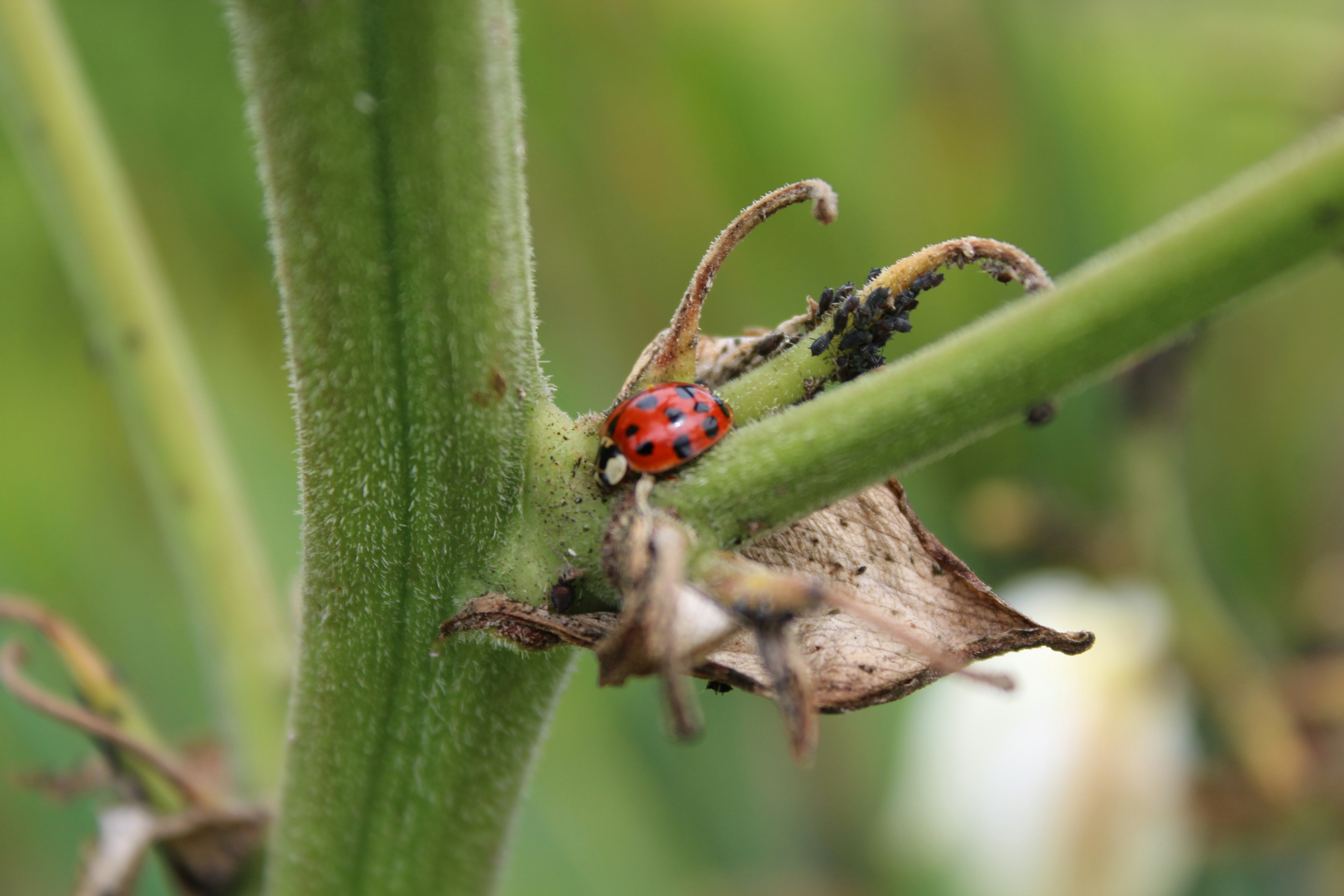 Photo by alys_skowron