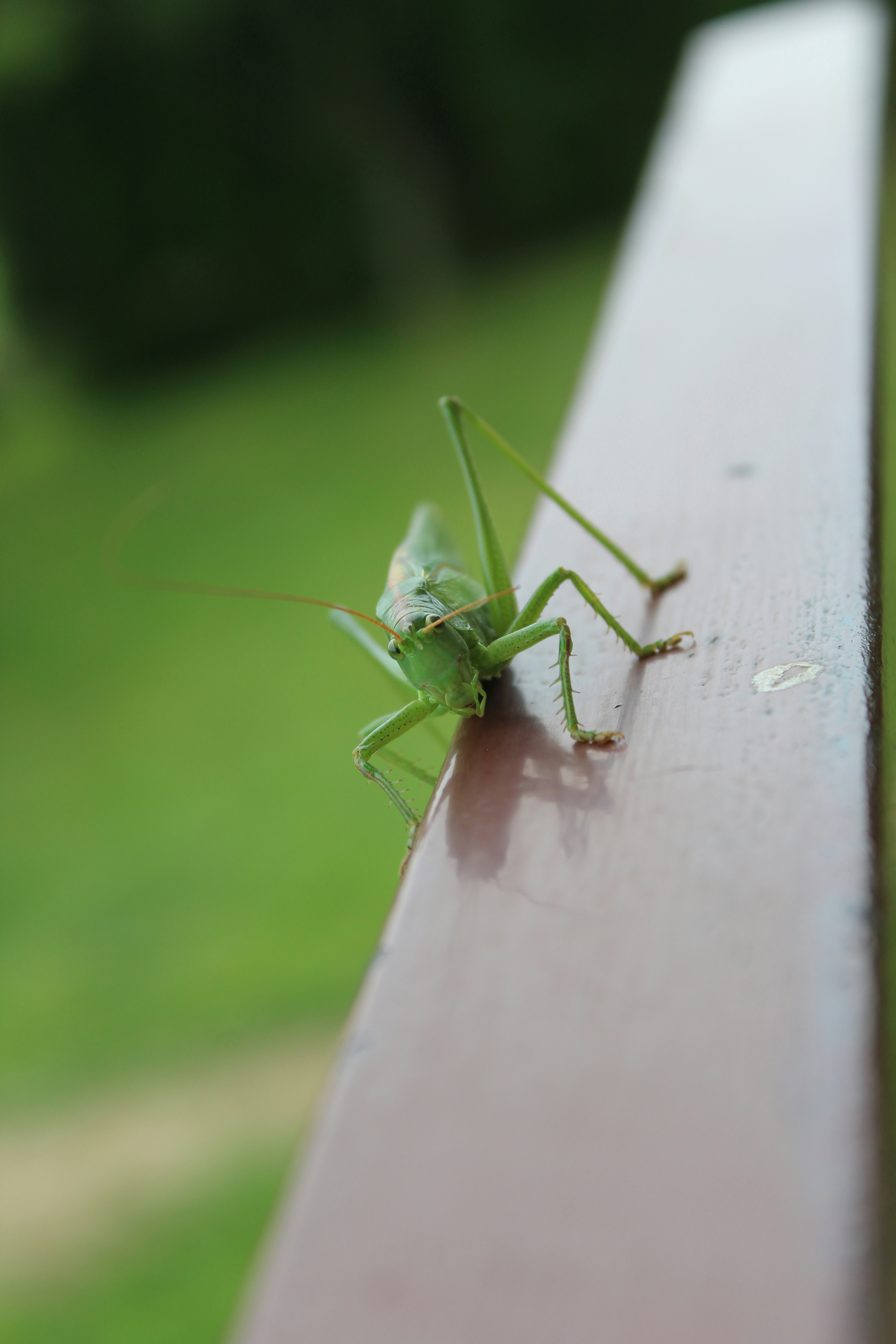 Photo by alys_skowron