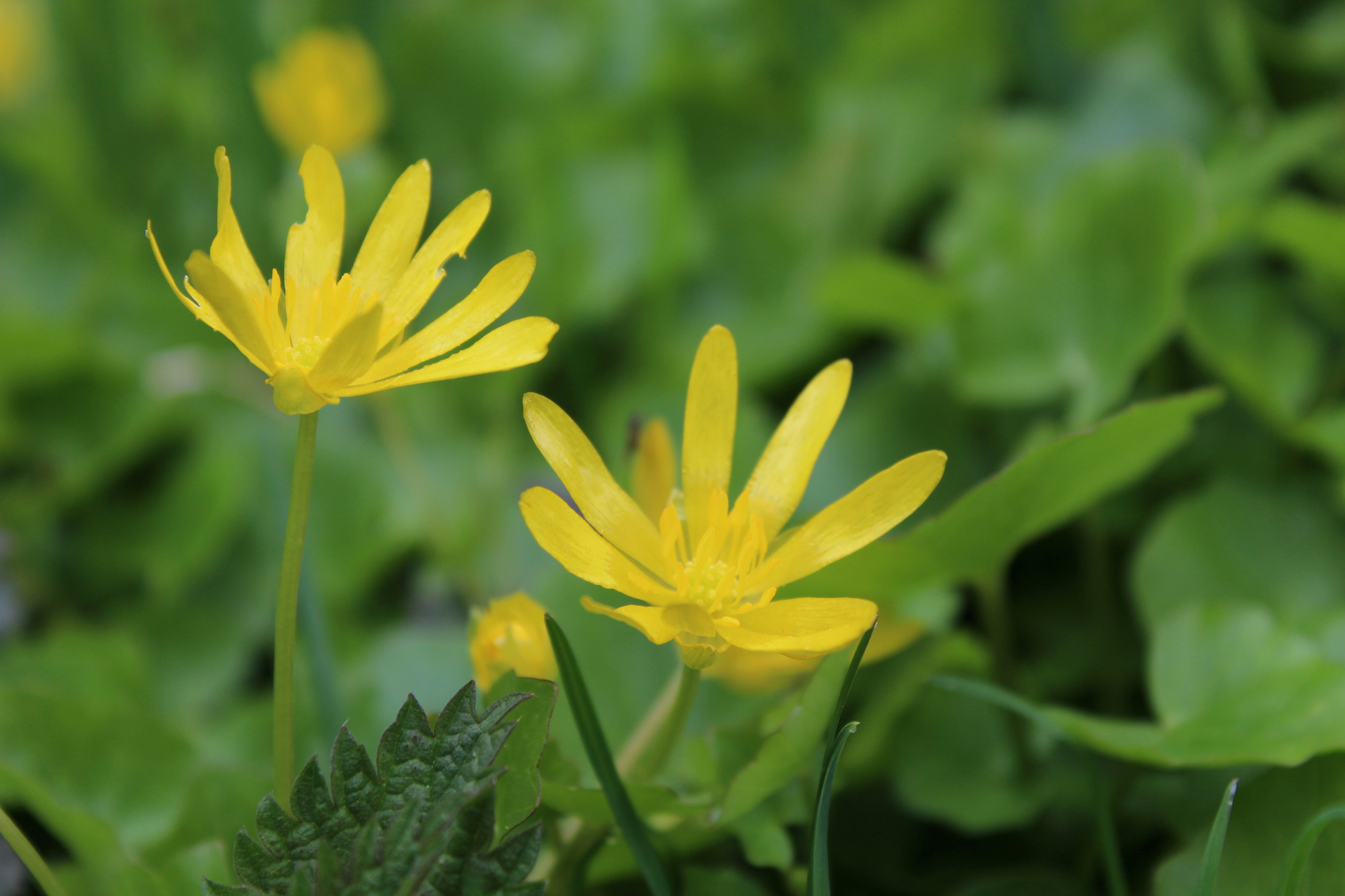 Photo by alys_skowron