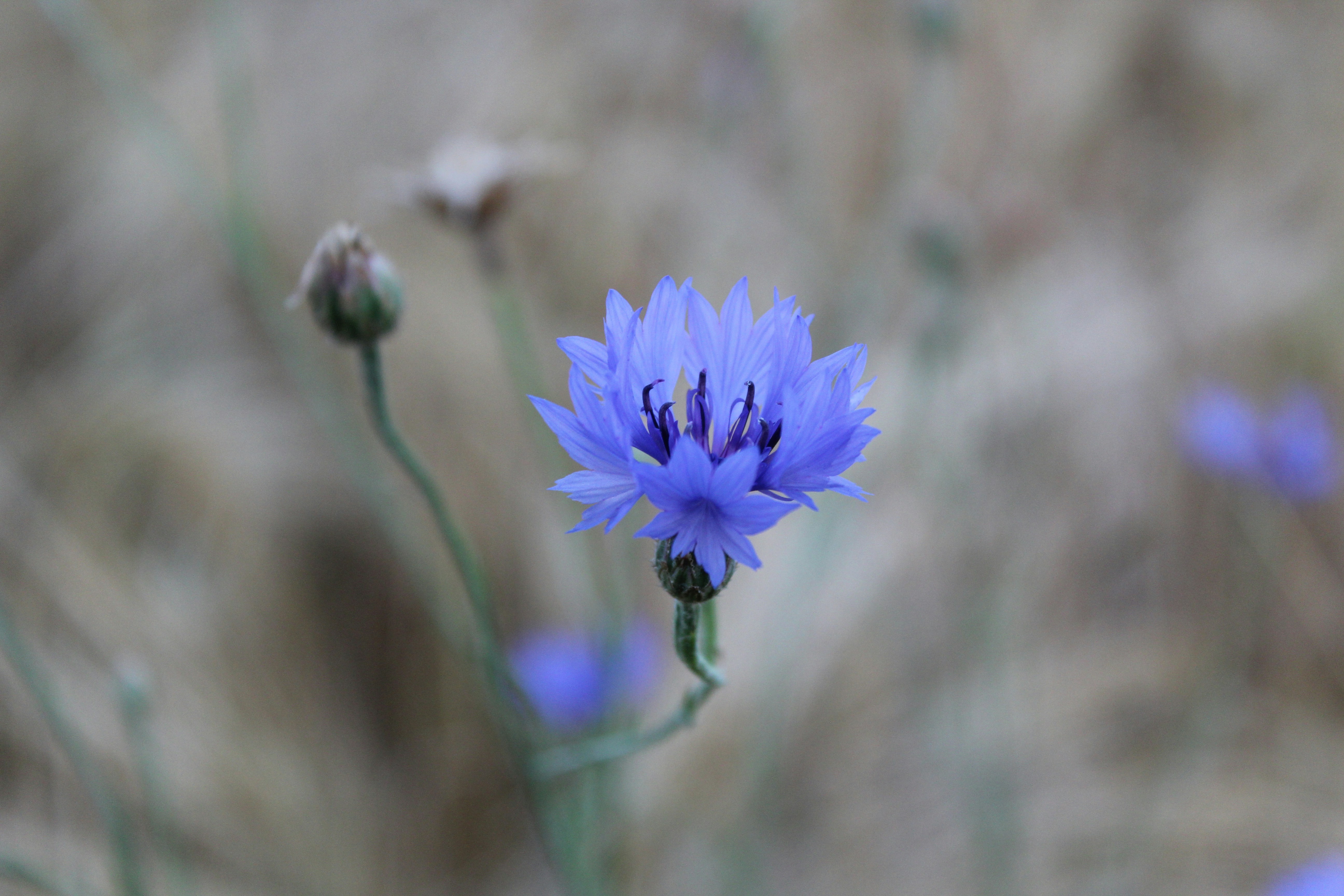 Photo by alys_skowron