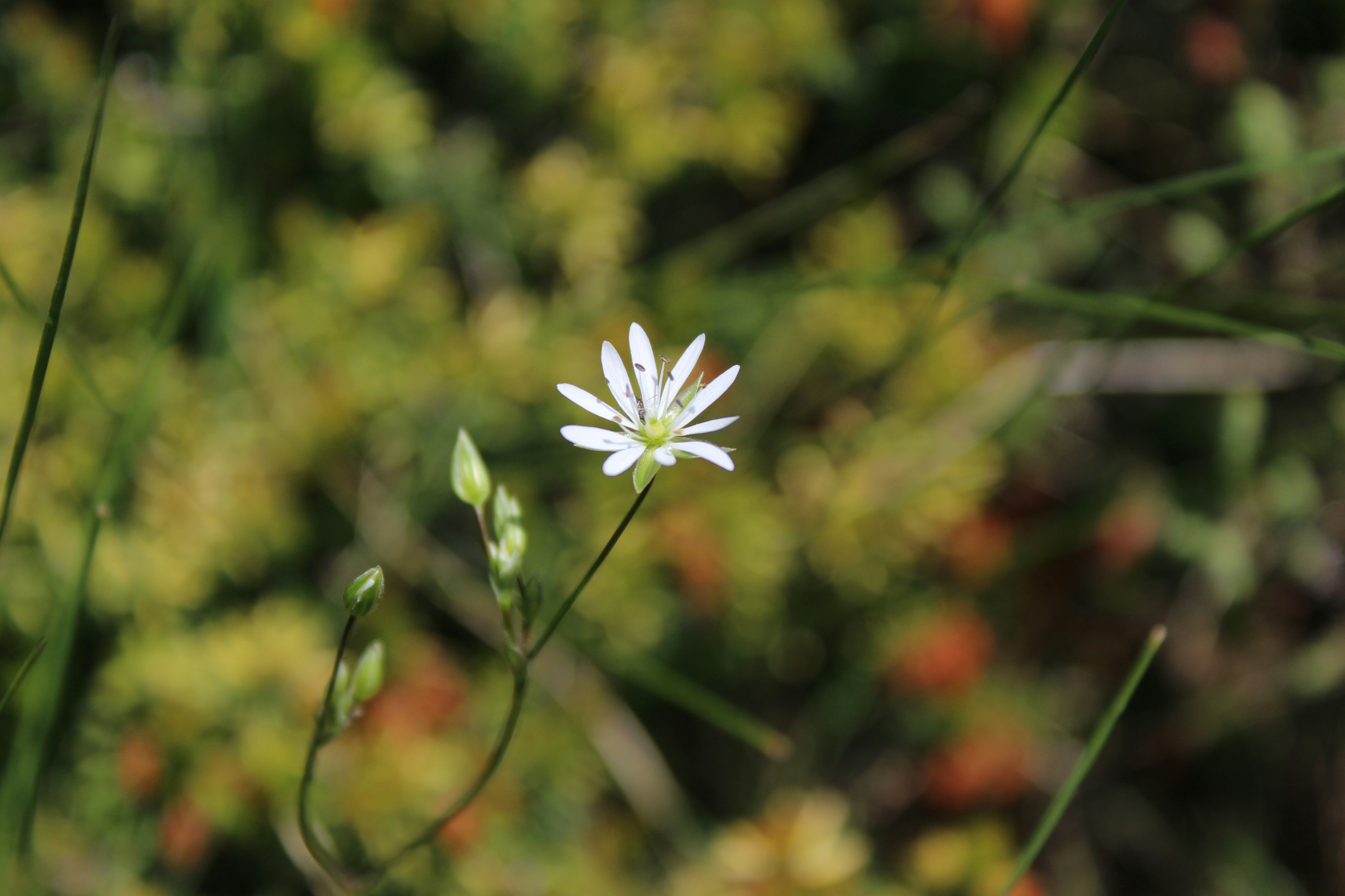 Photo by alys_skowron