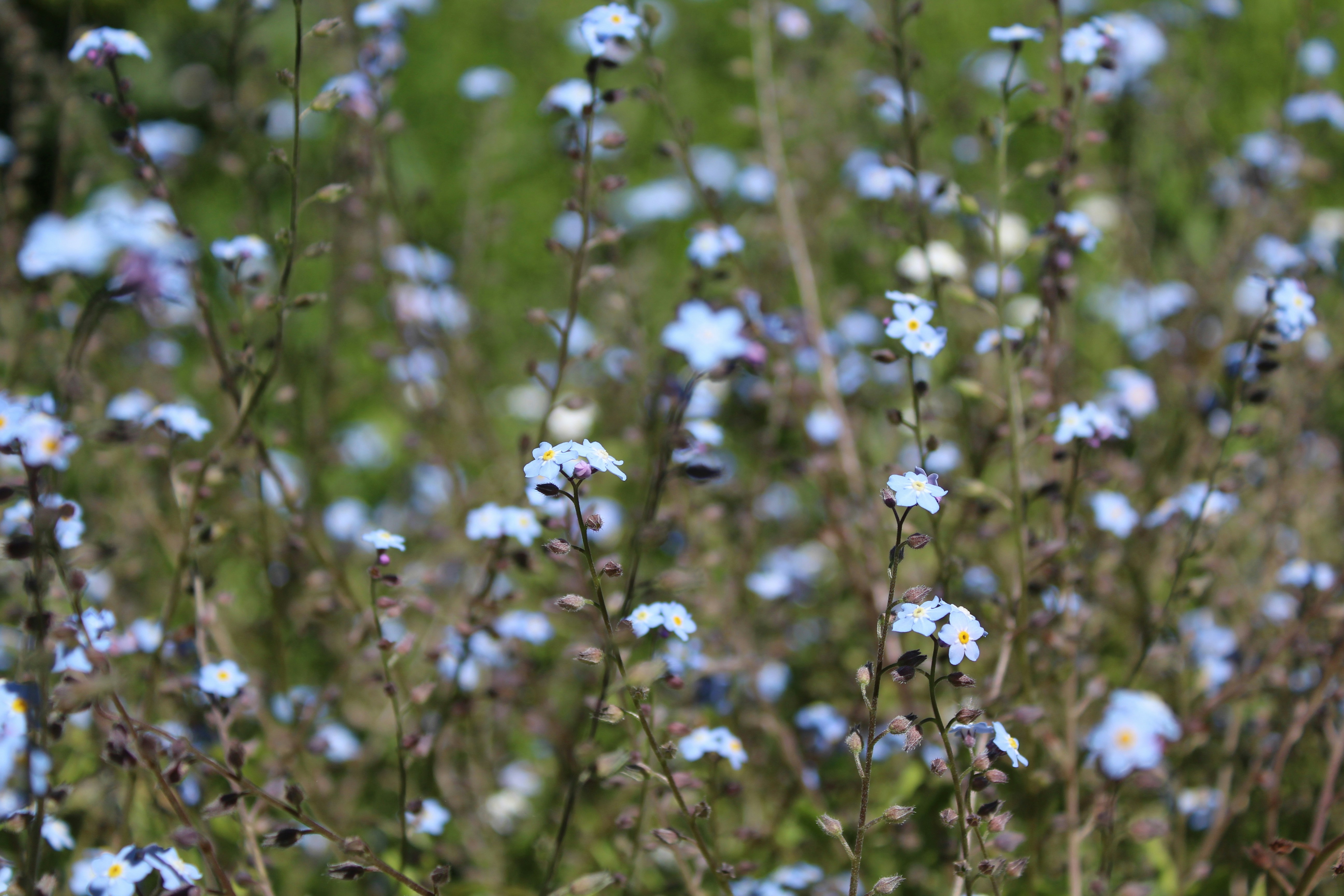 Photo by alys_skowron