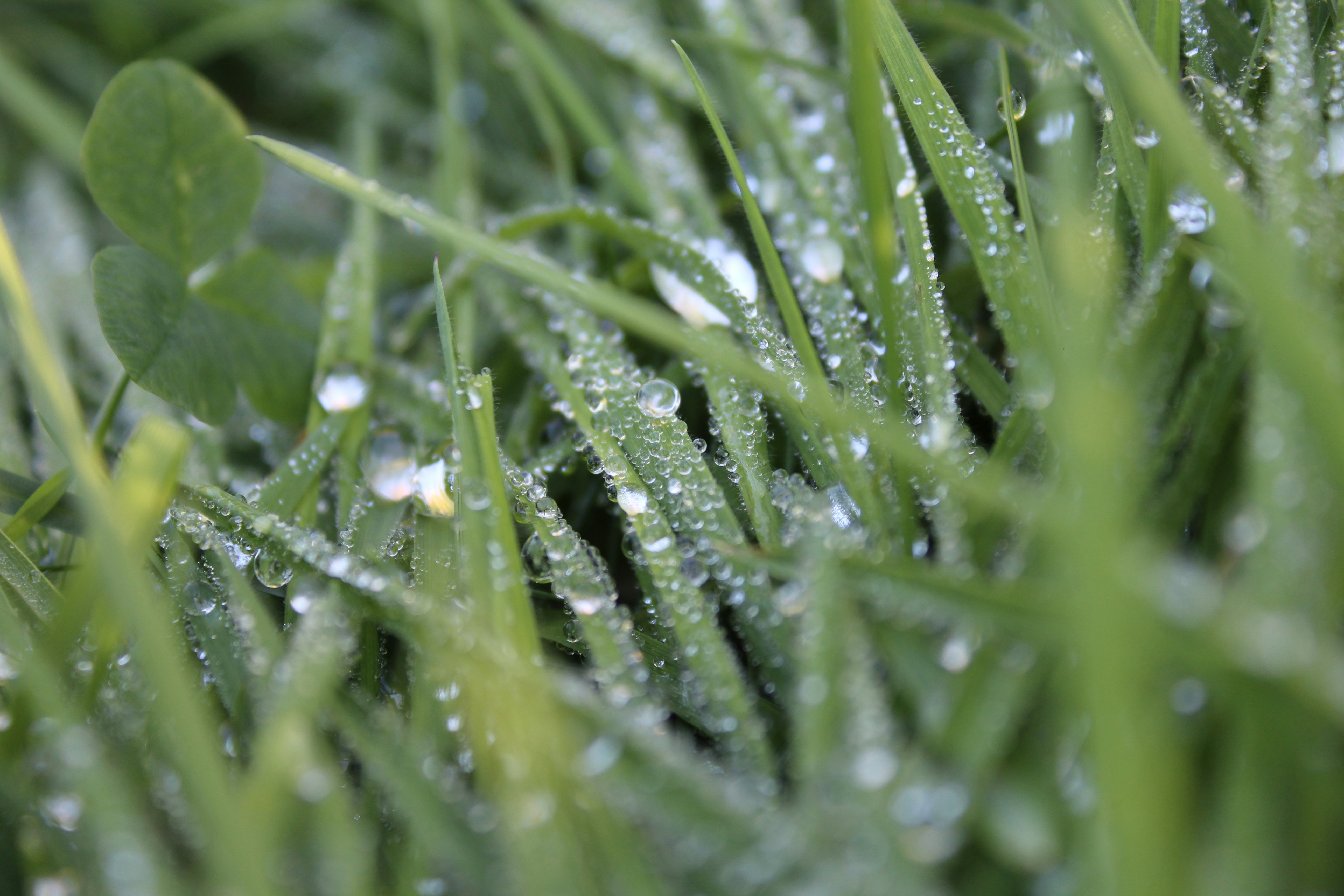 Photo by alys_skowron