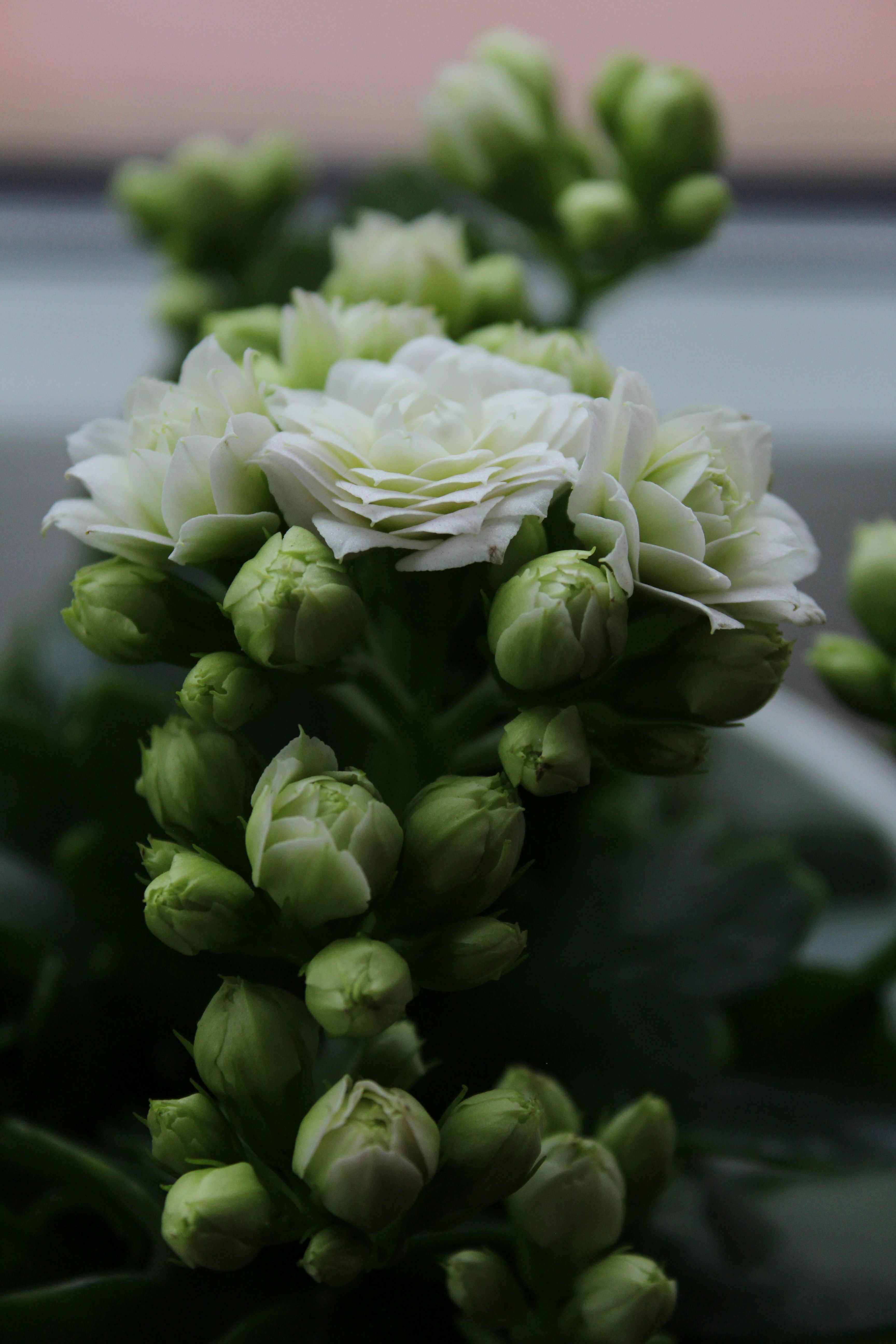 Photo by alys_skowron