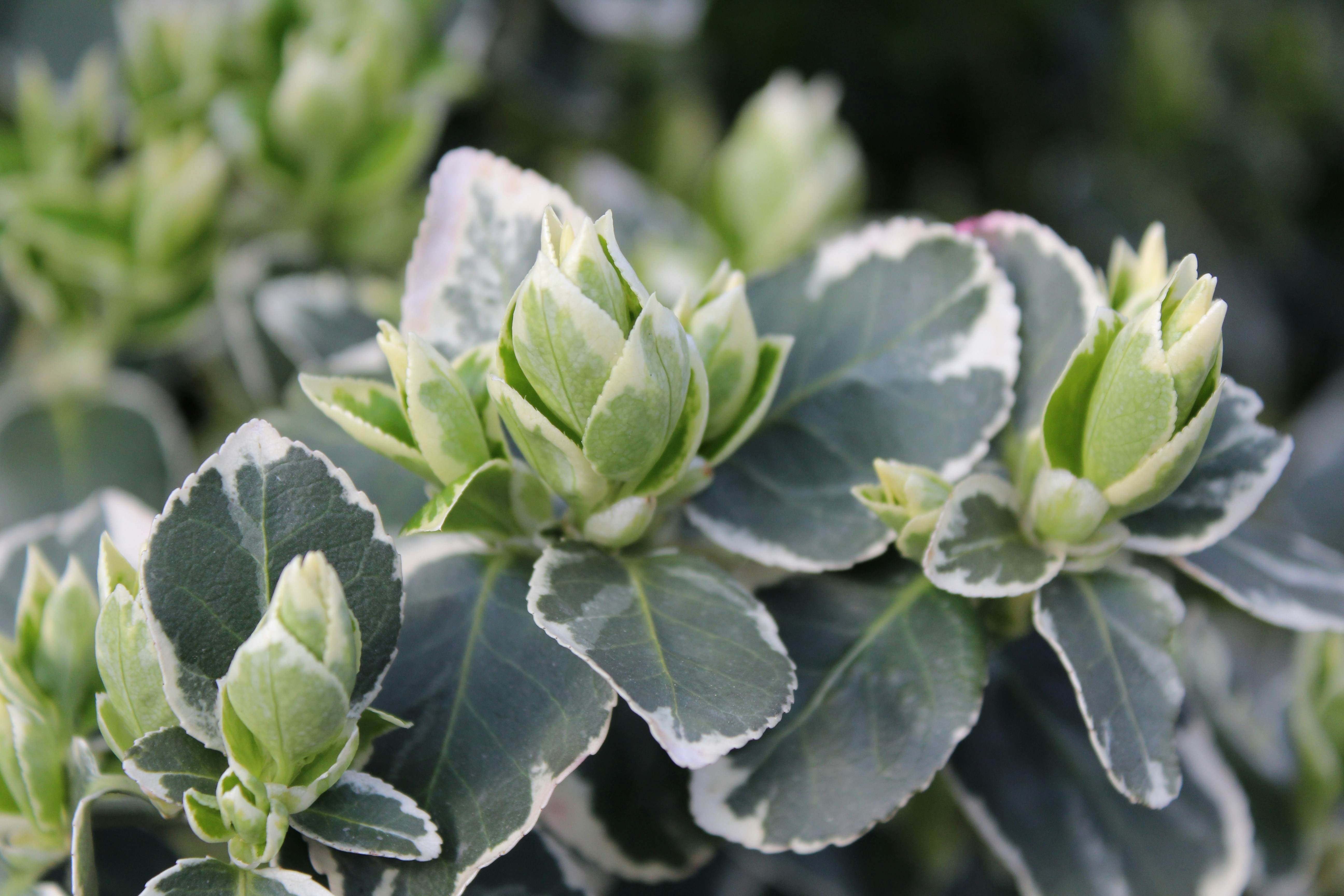 Photo by alys_skowron