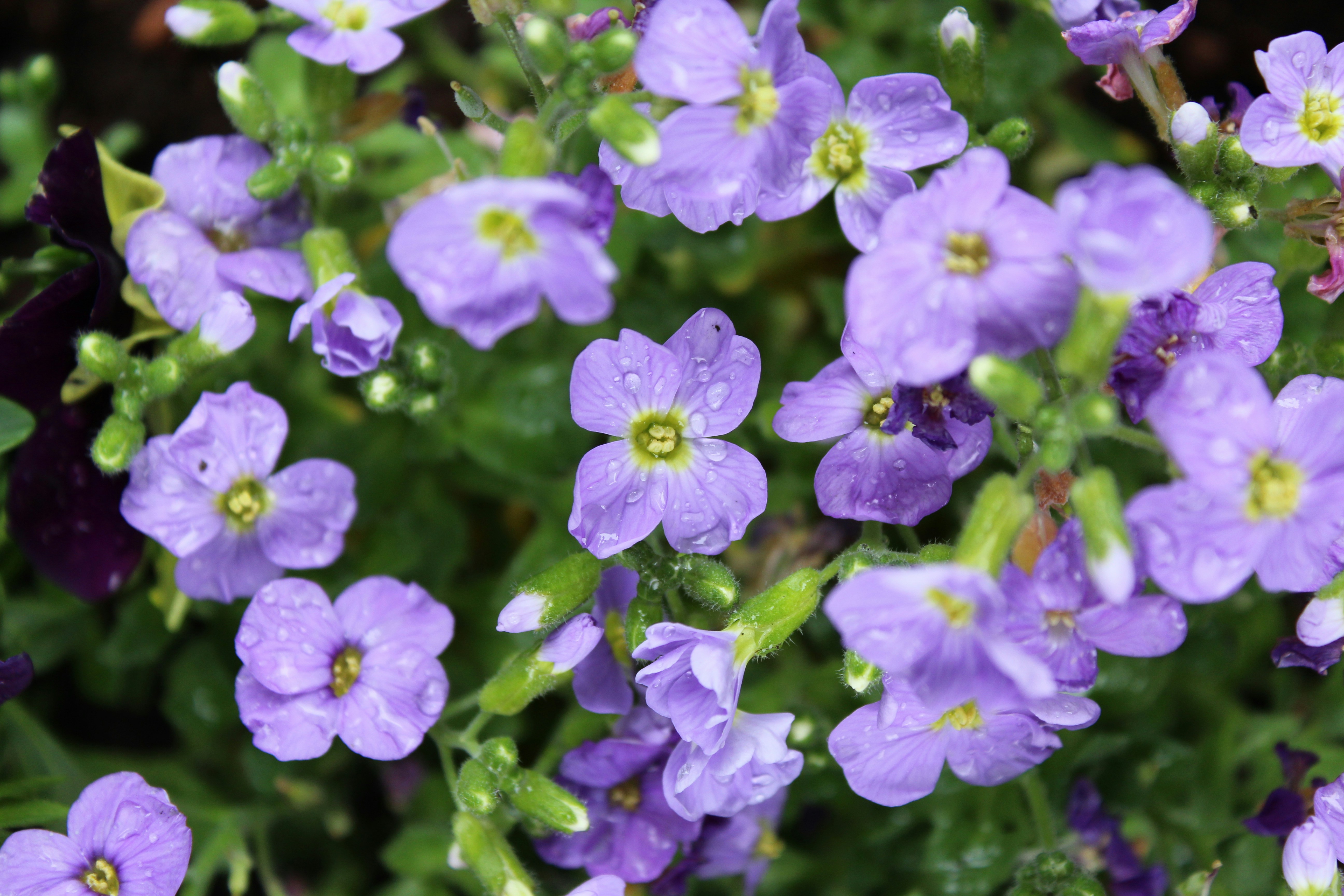 Photo by alys_skowron