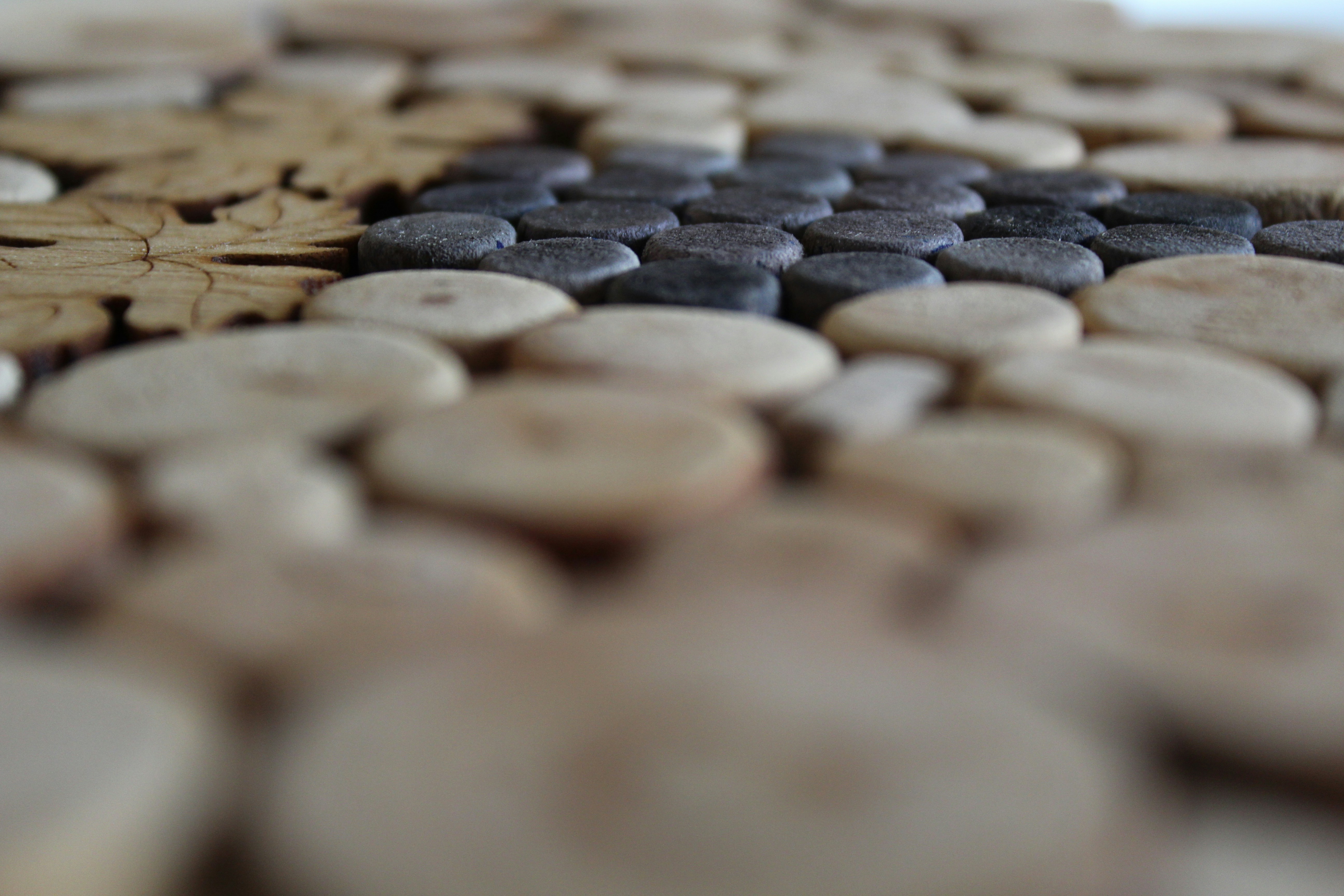 Photo by alys_skowron