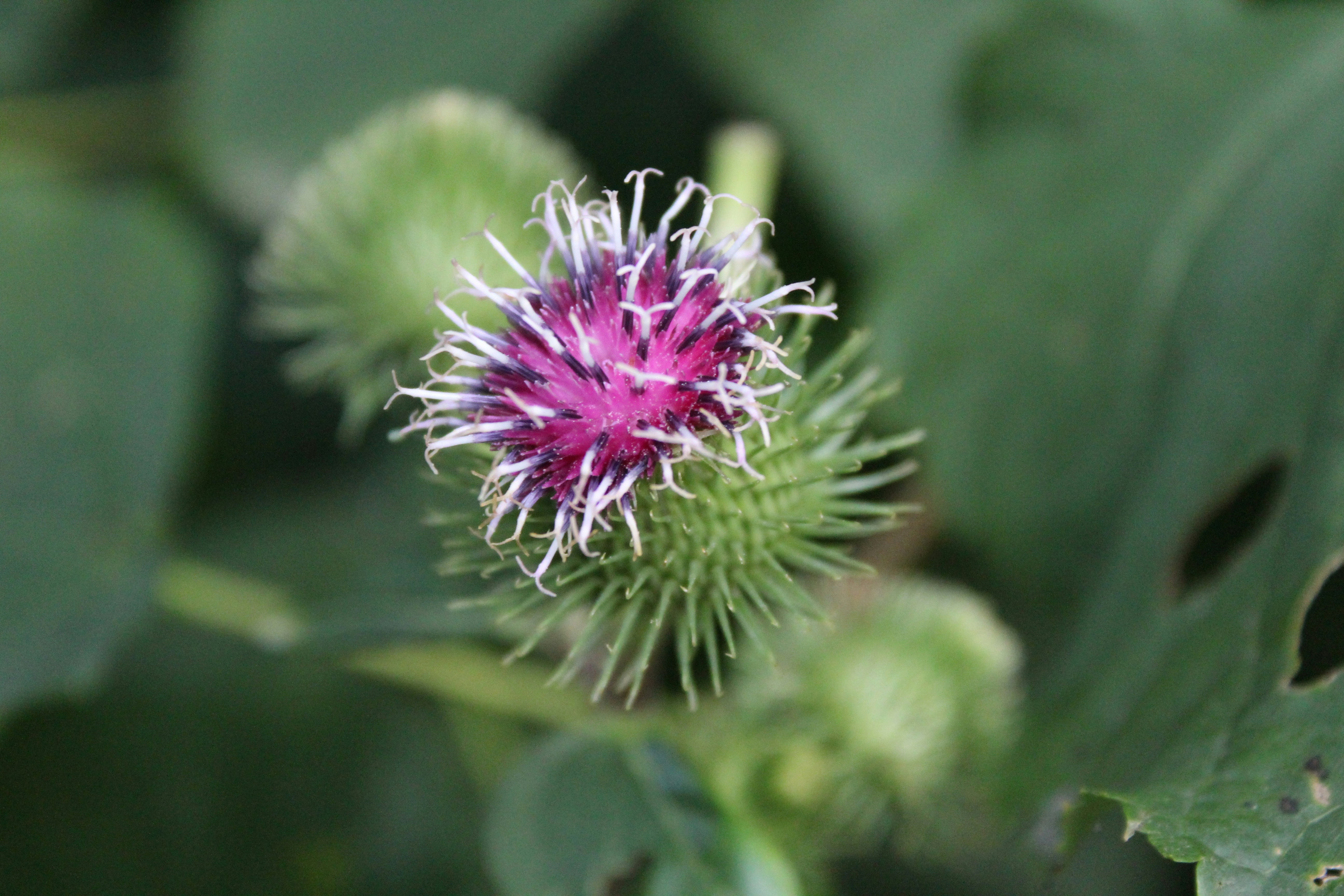 Photo by alys_skowron