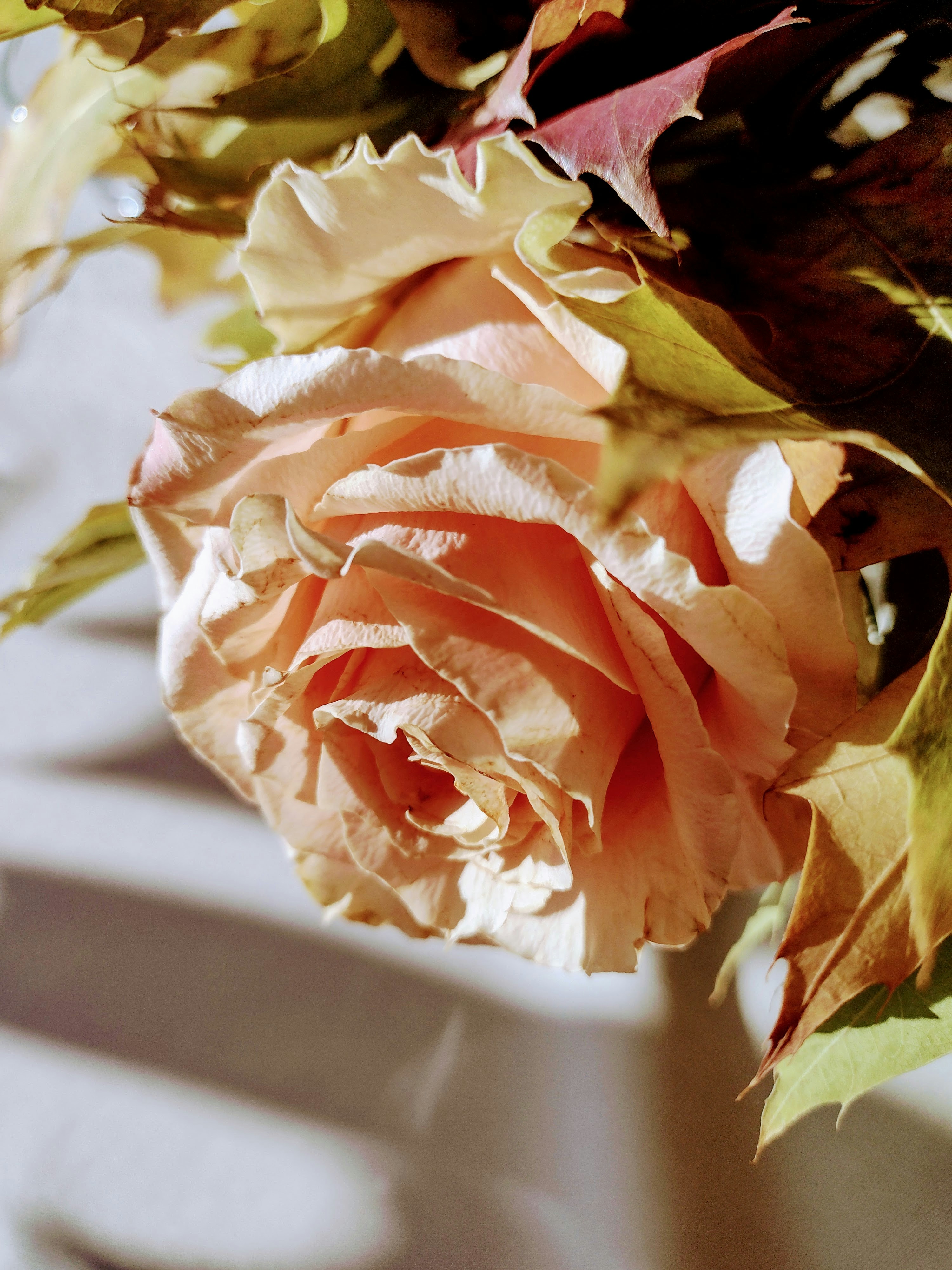 Photo by alys_skowron