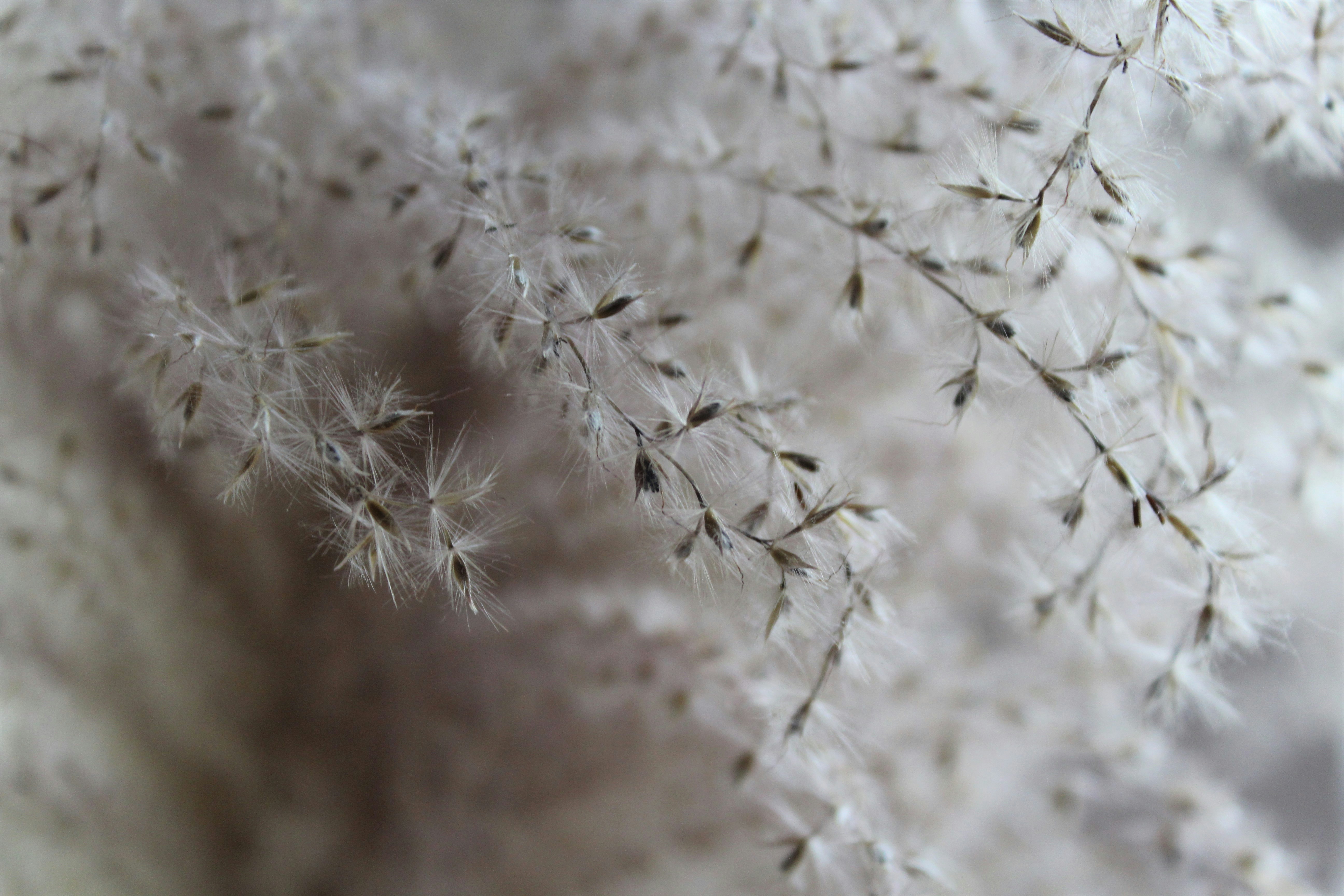 Photo by alys_skowron