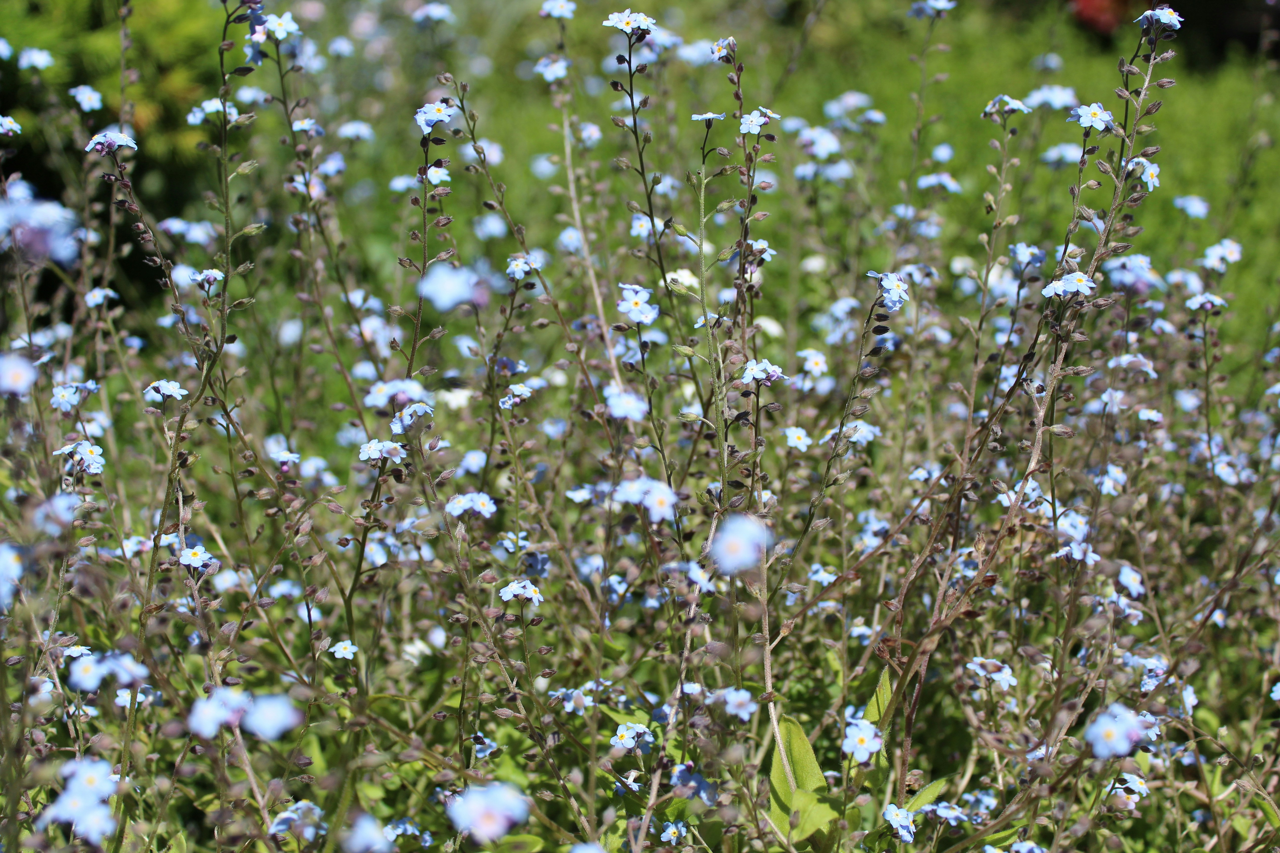 Photo by alys_skowron