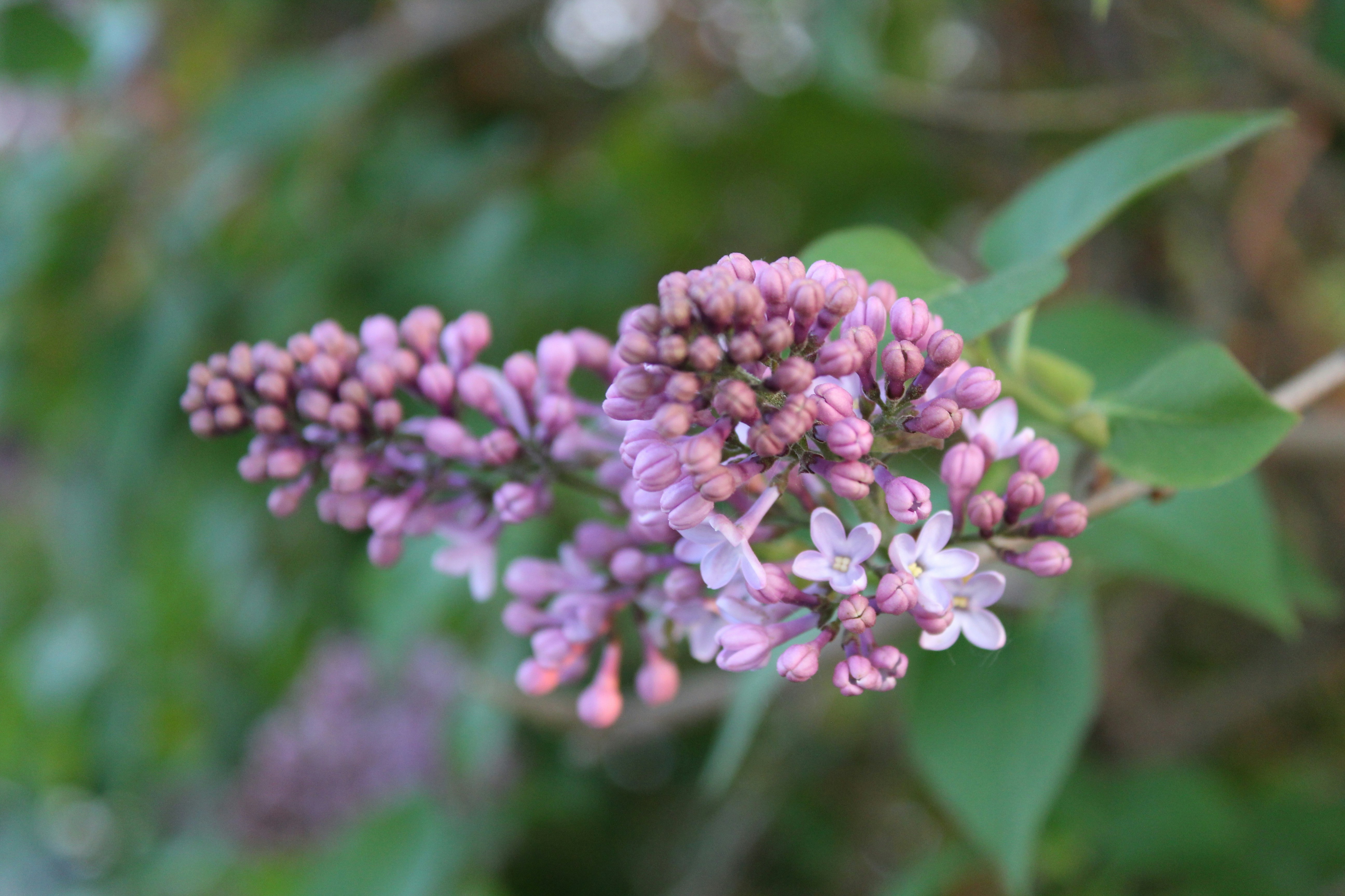 Photo by alys_skowron