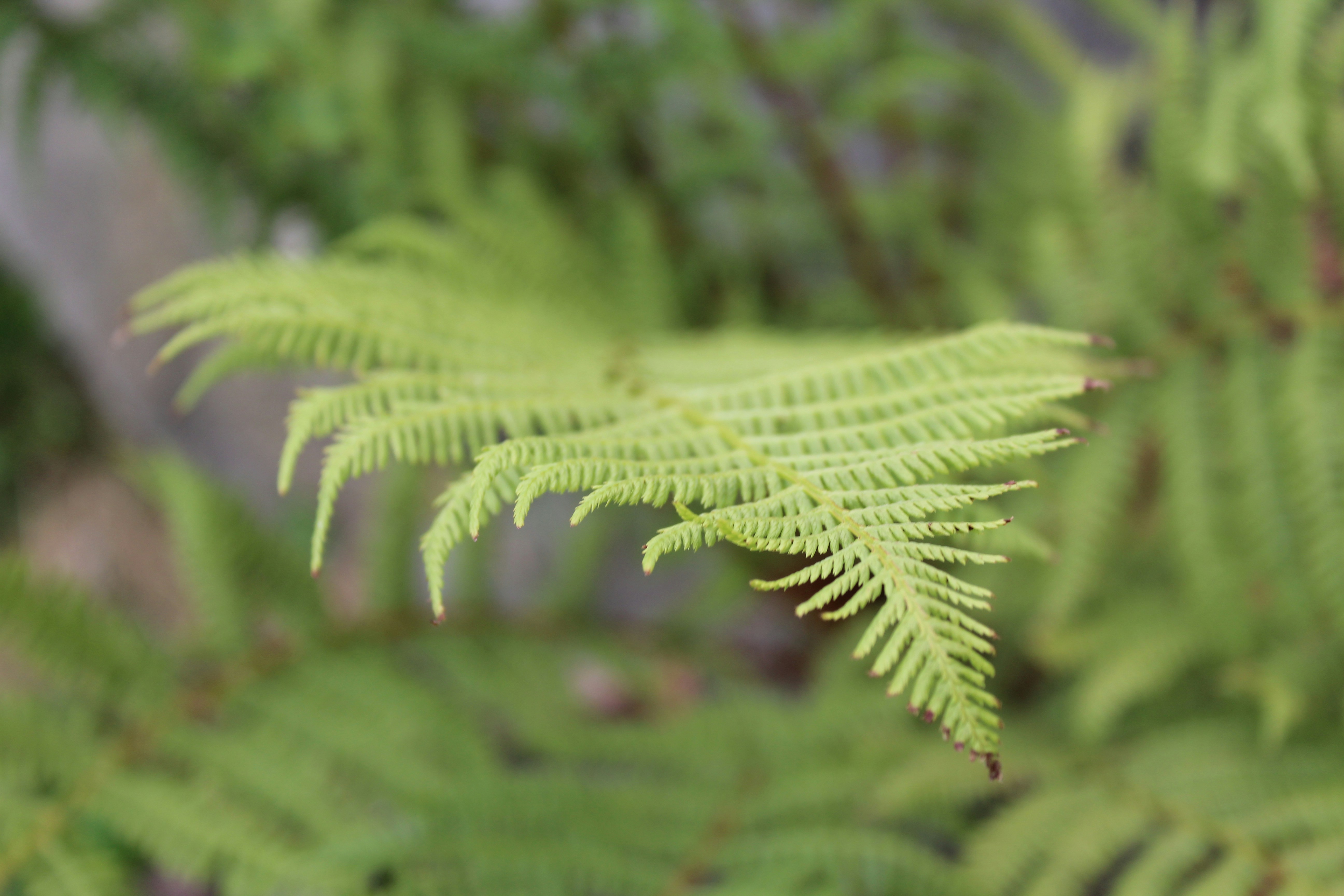 Photo by alys_skowron