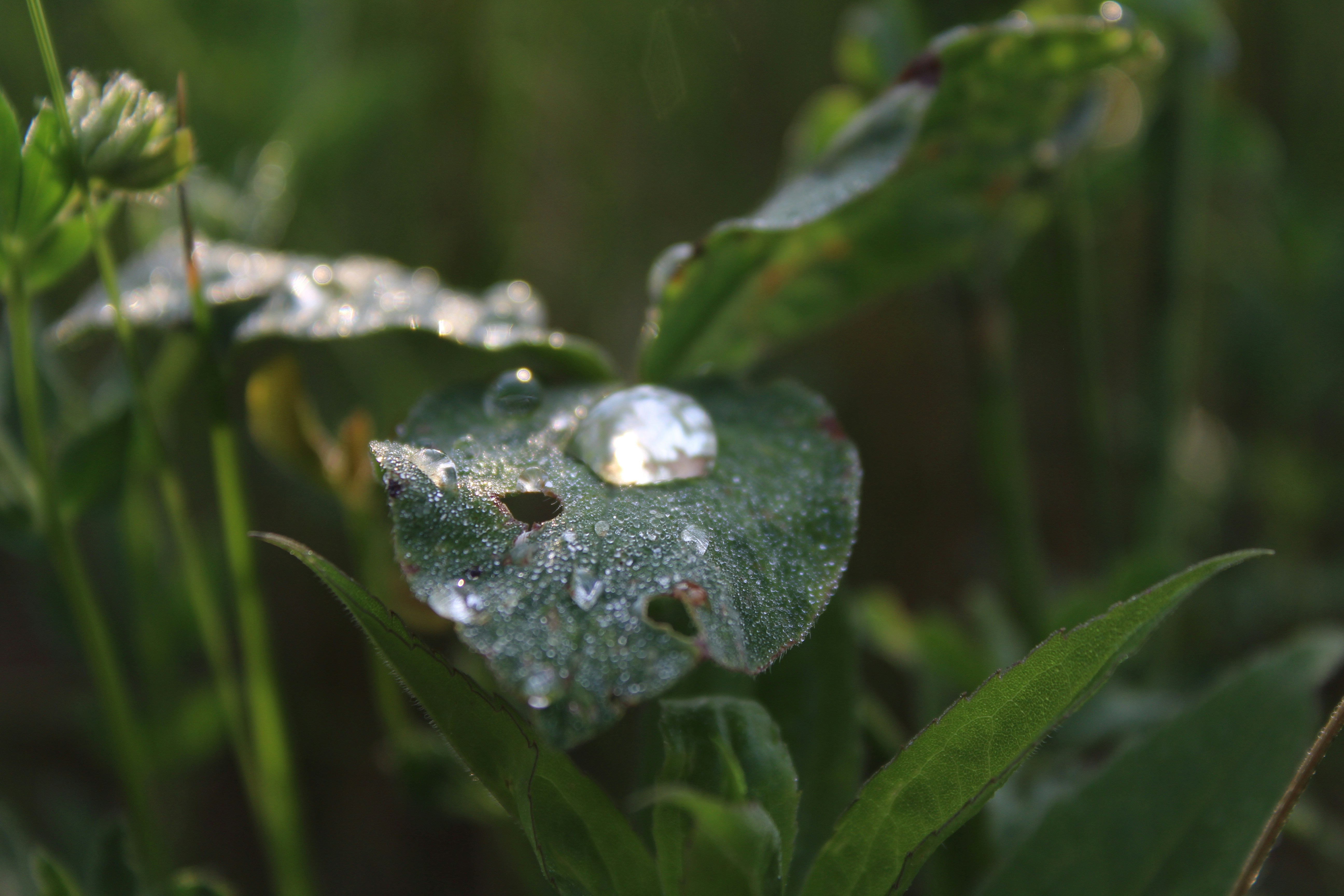 Photo by alys_skowron