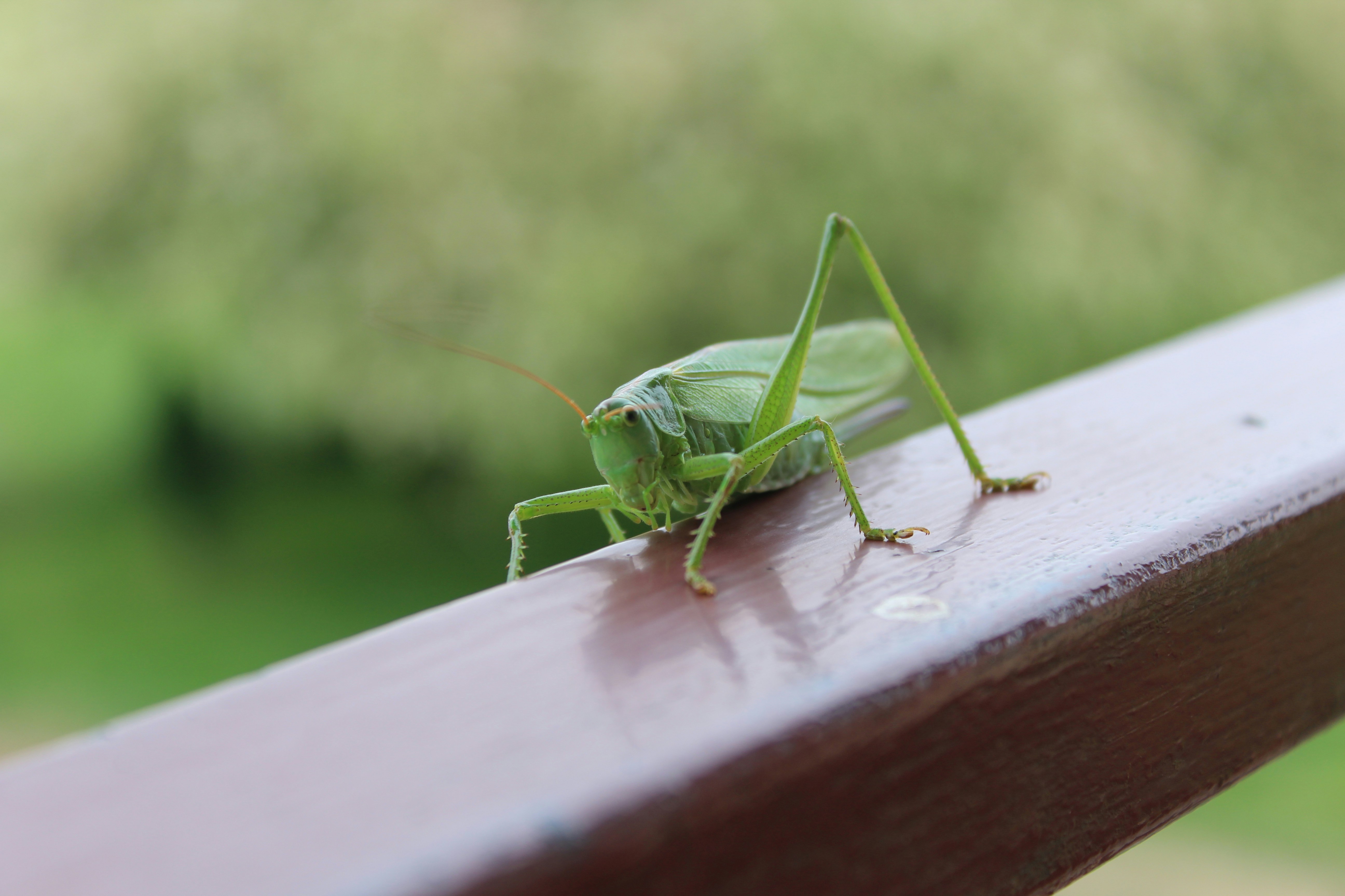 Photo by alys_skowron