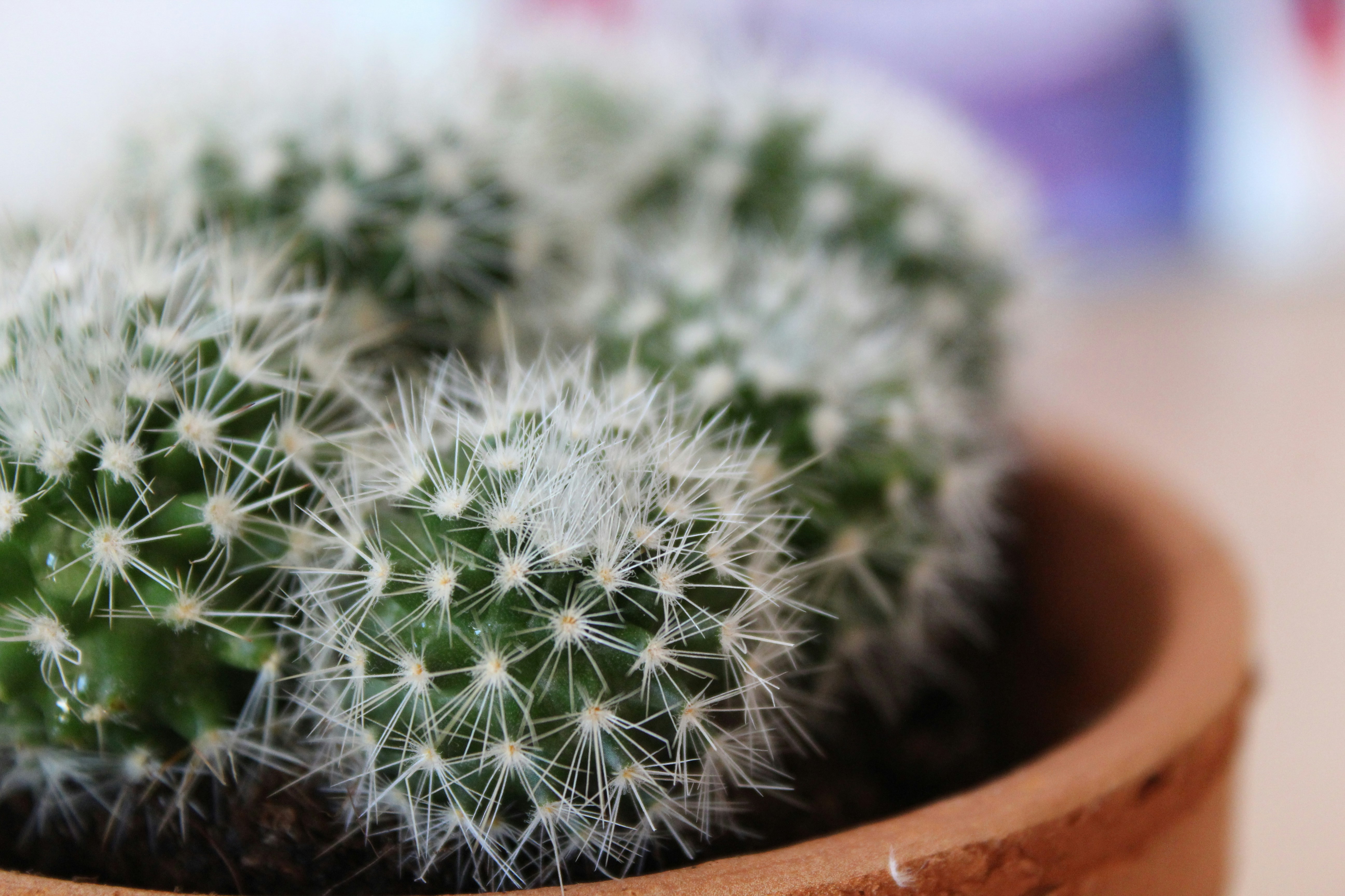 Photo by alys_skowron