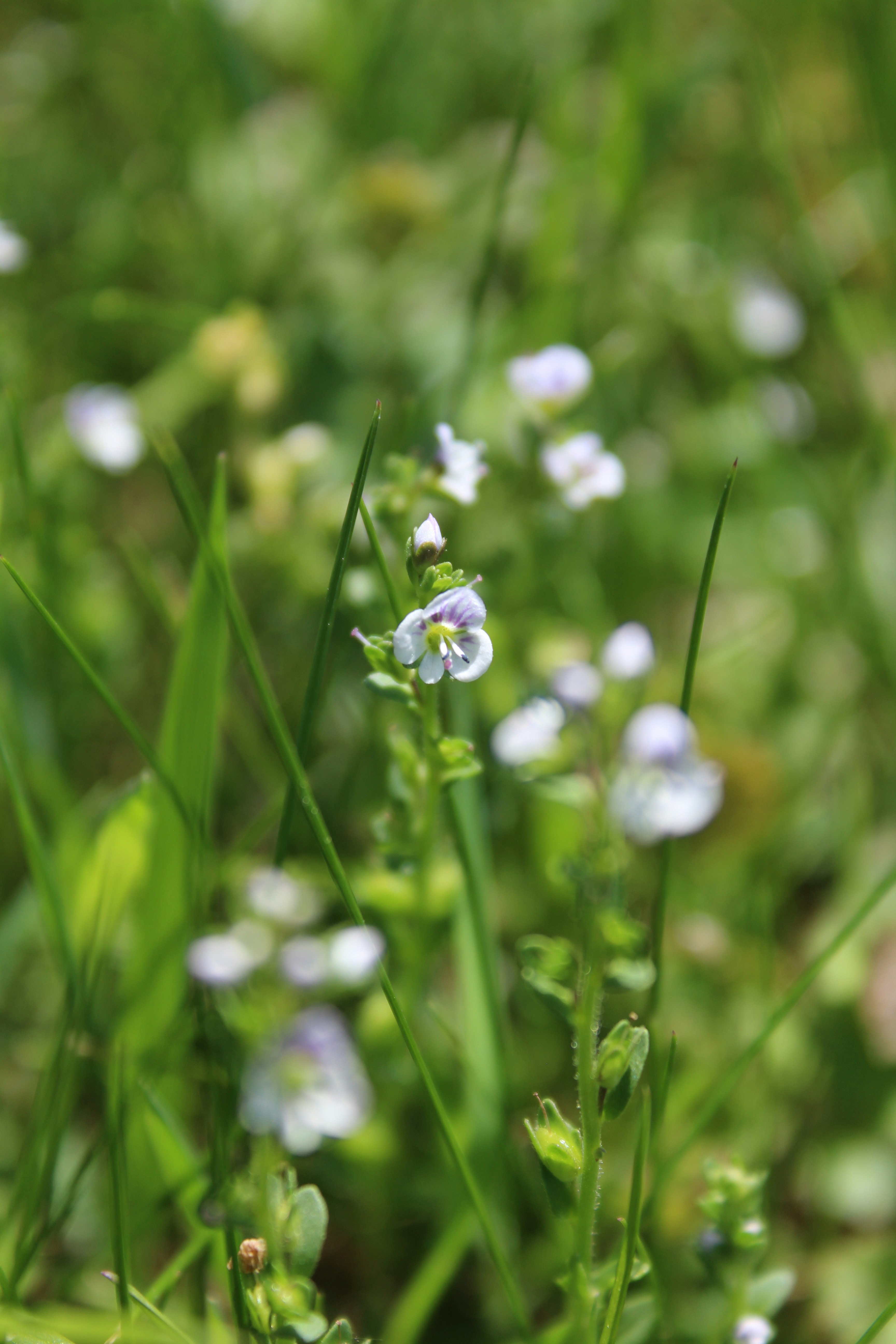 Photo by alys_skowron