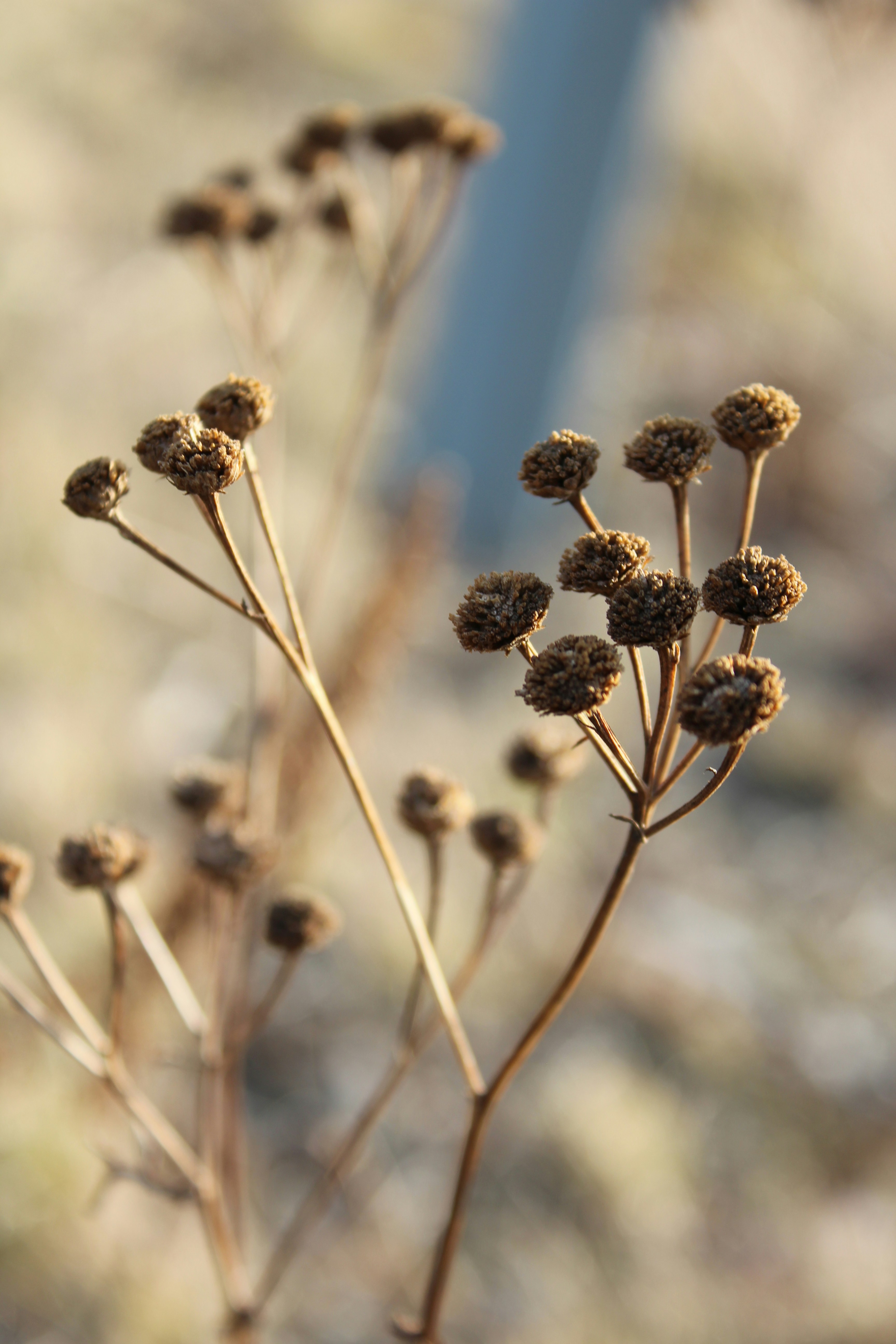 Photo by alys_skowron