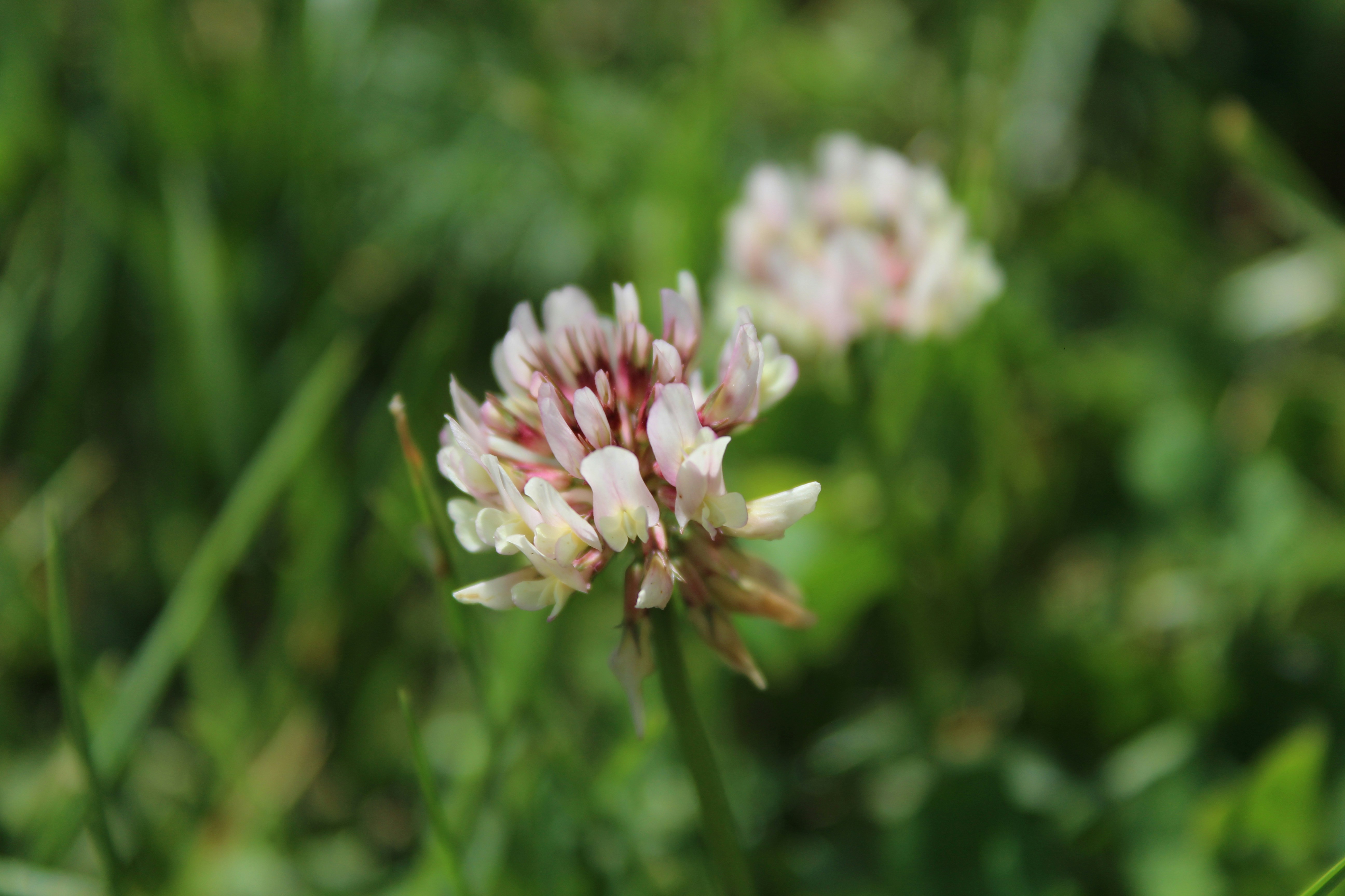 Photo by alys_skowron