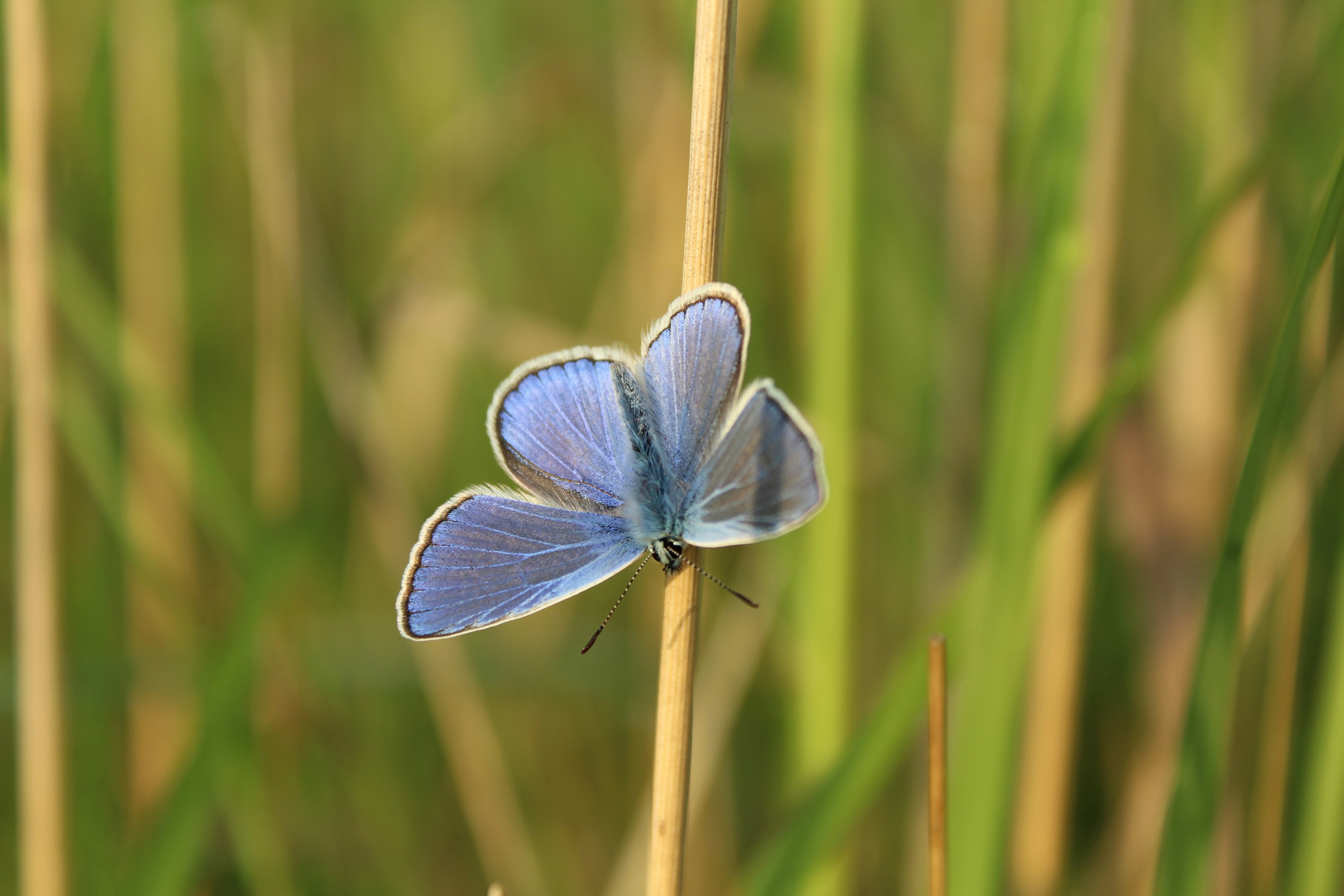 Photo by alys_skowron