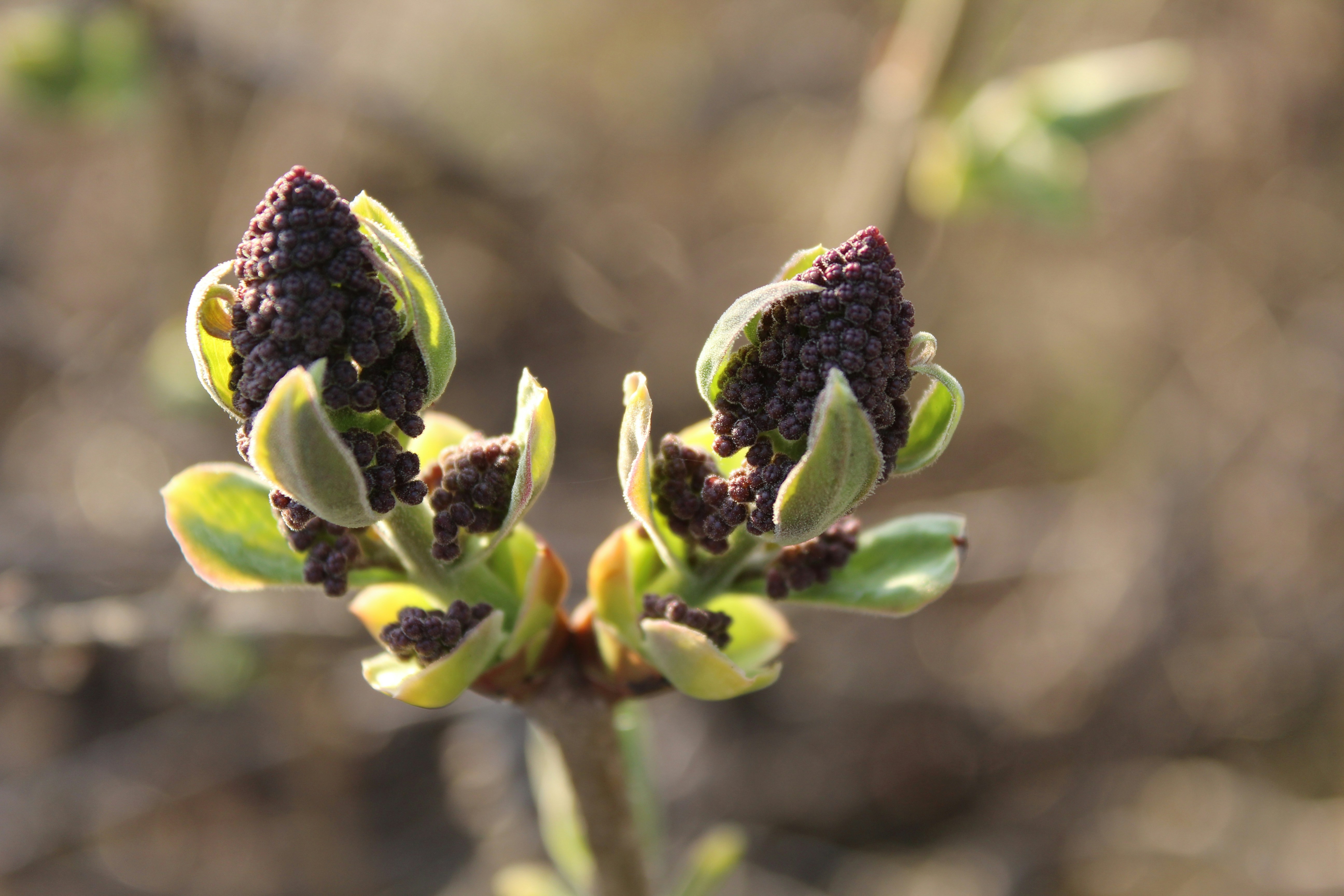 Photo by alys_skowron