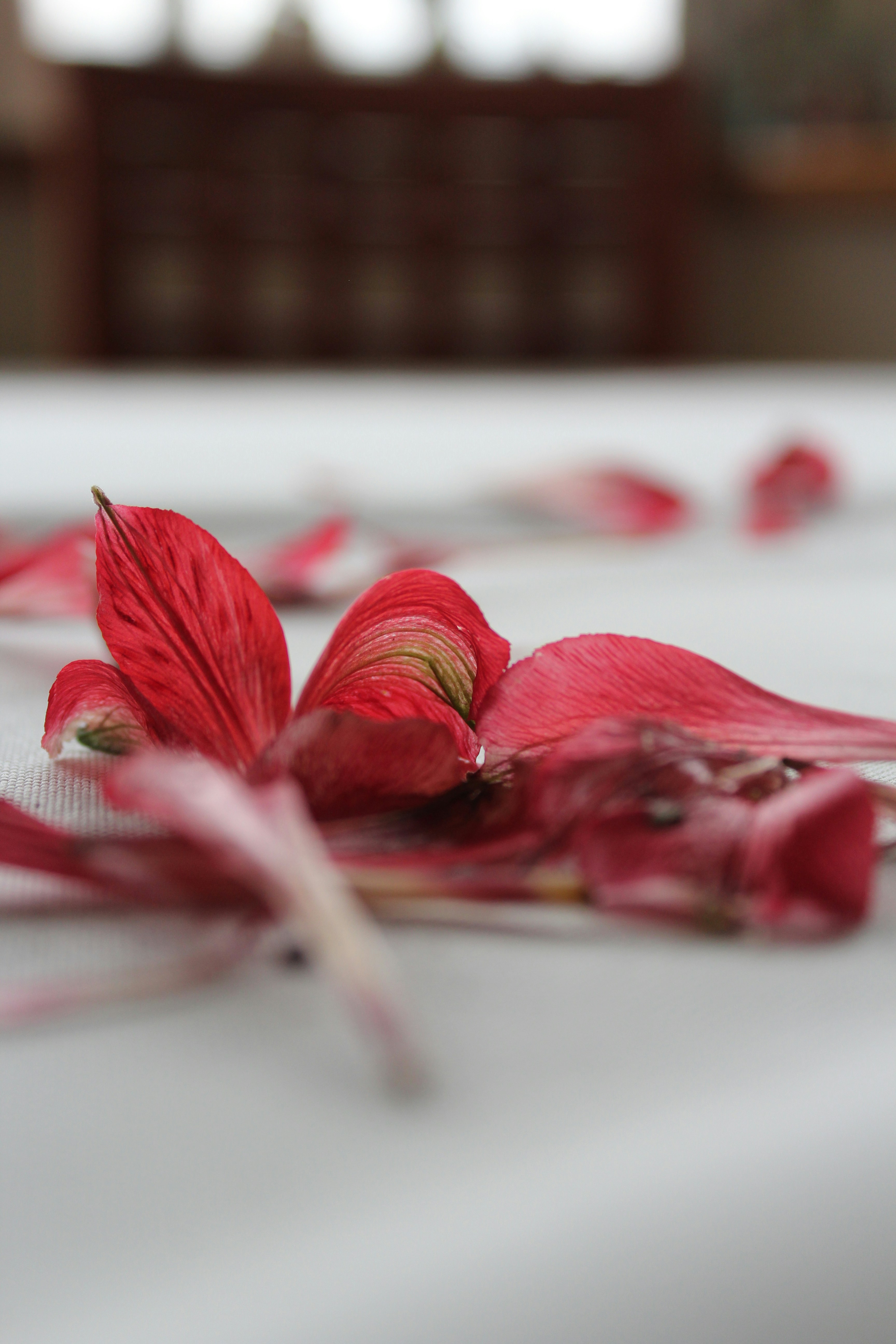 ベッドの上の花のクローズアップ