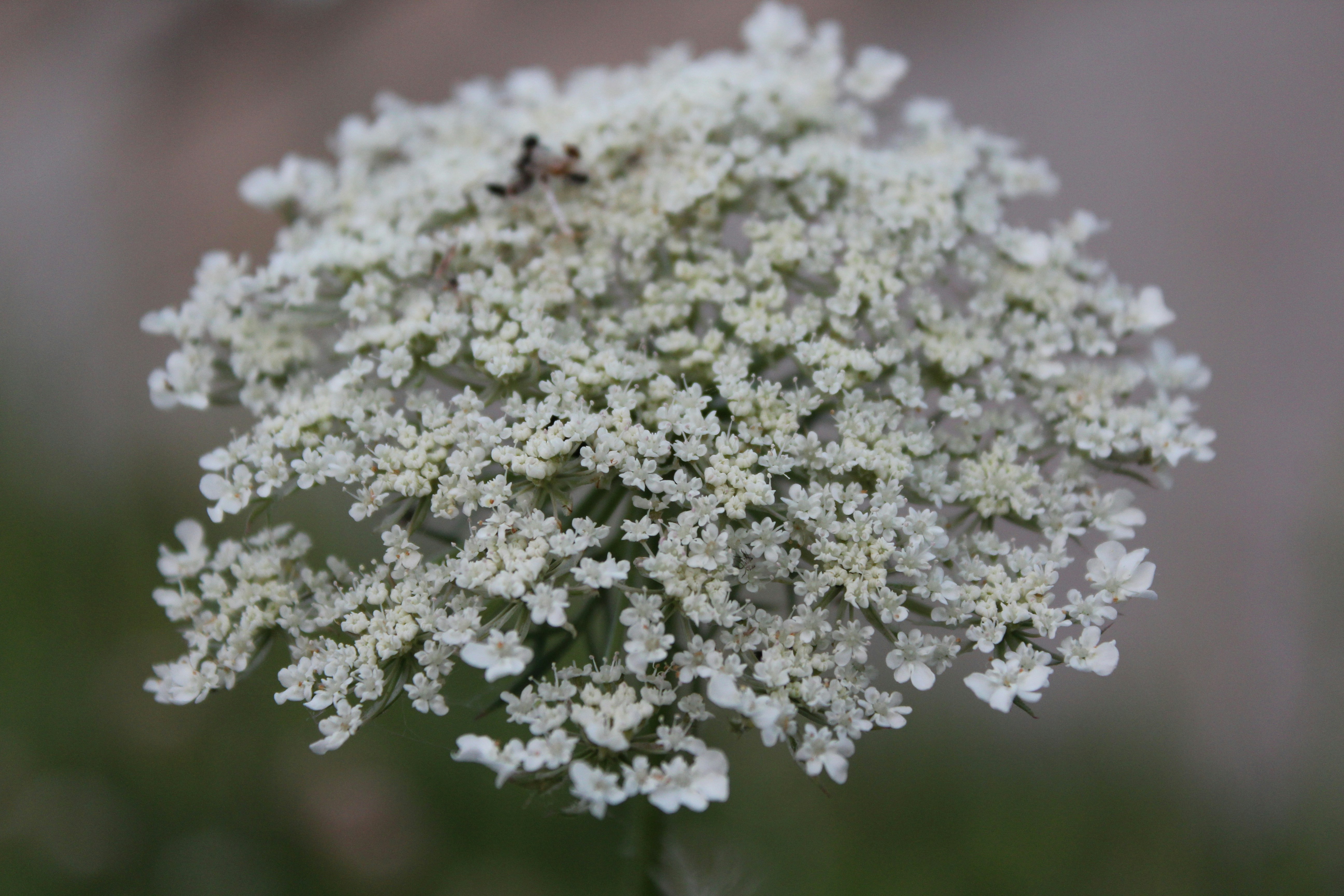 Photo by alys_skowron