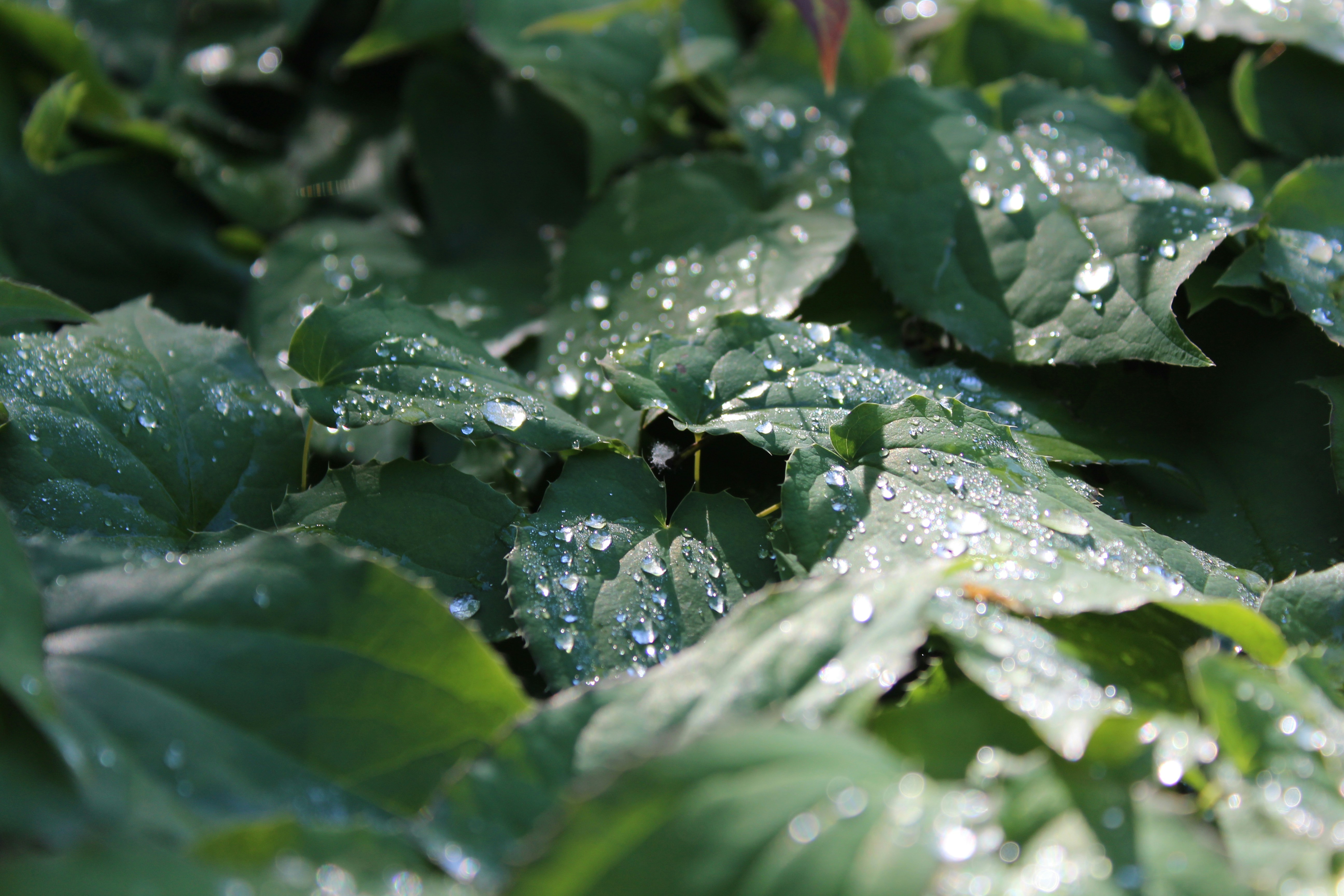 Photo by alys_skowron