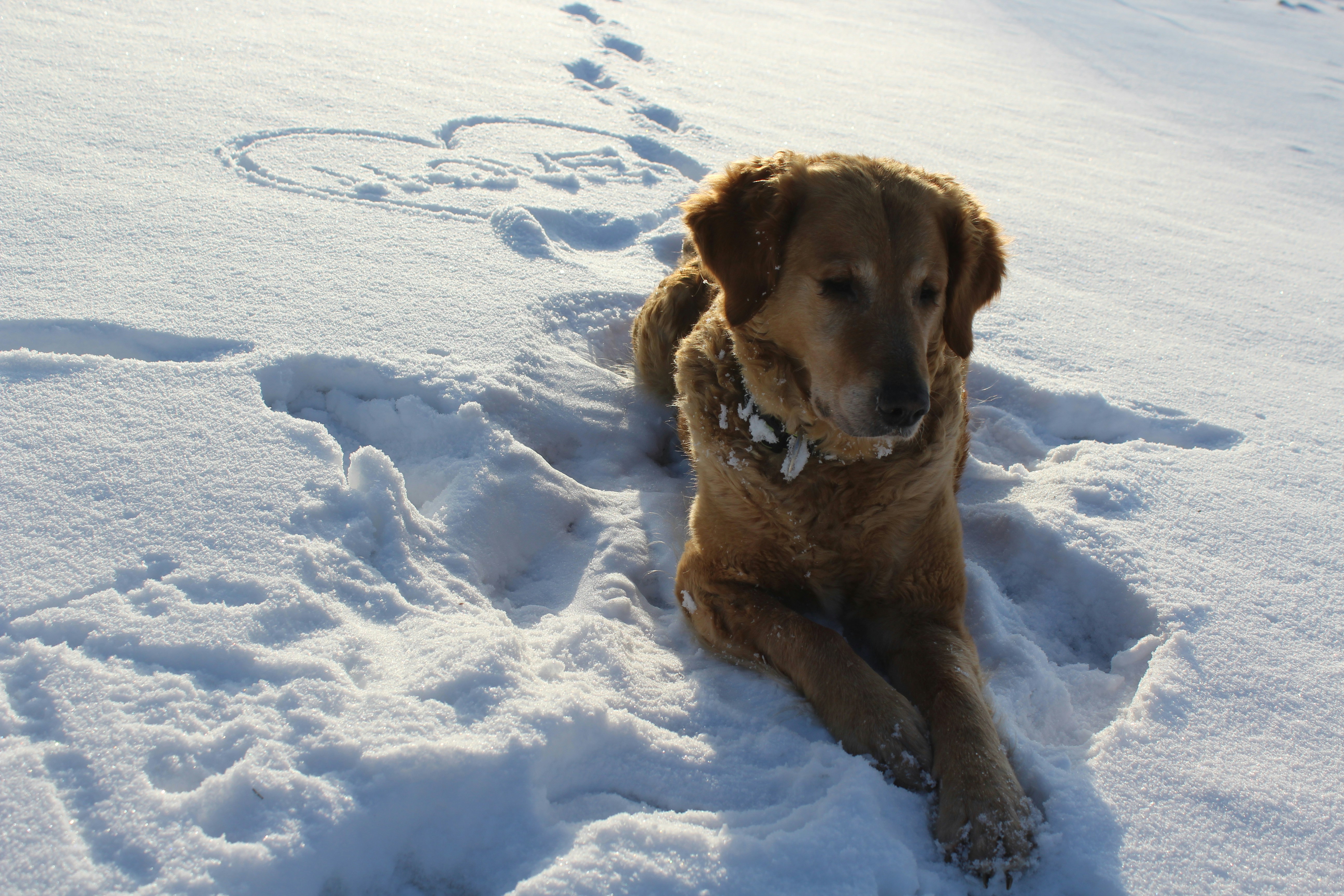 Photo by alys_skowron