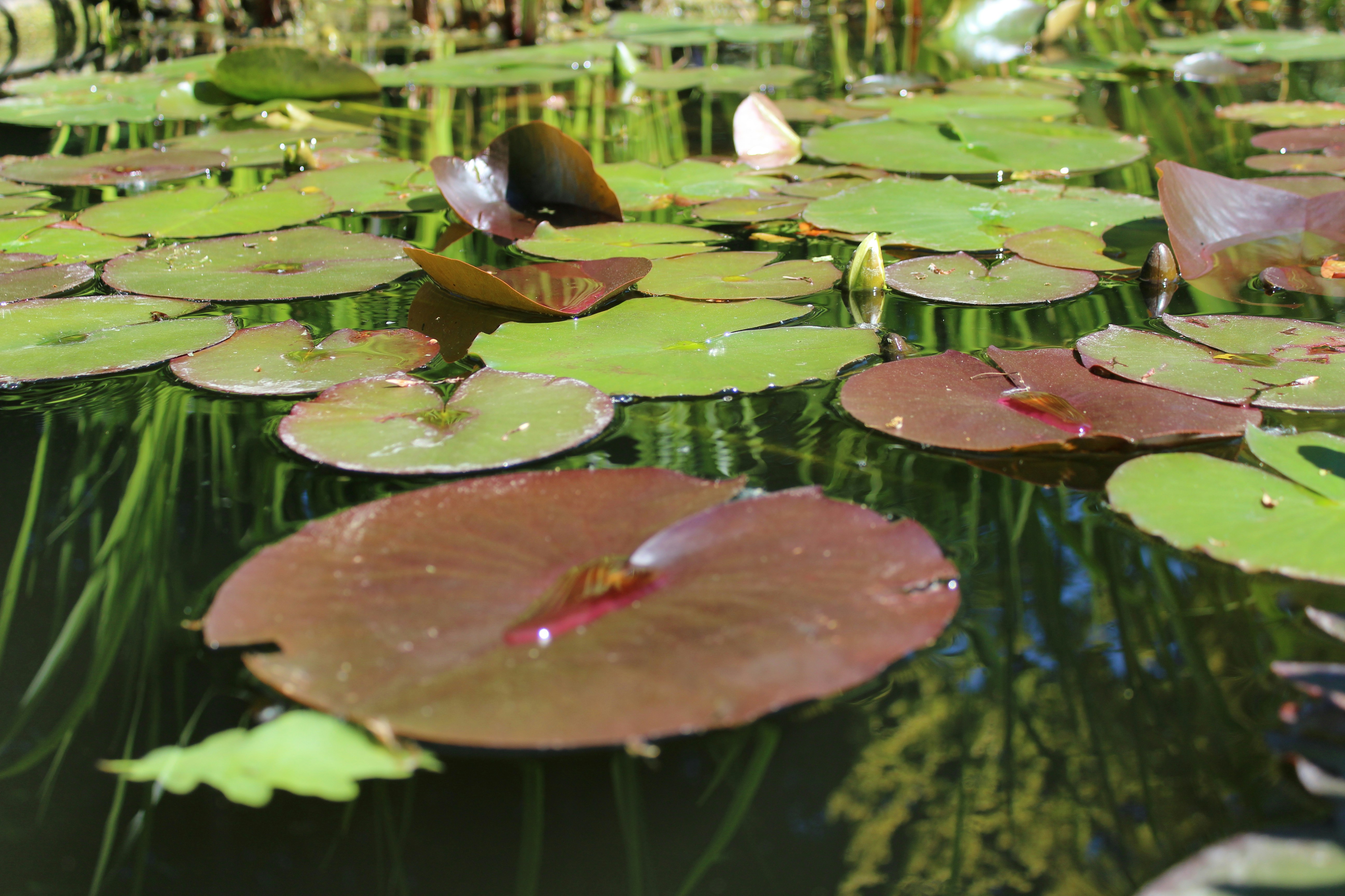 Photo by alys_skowron