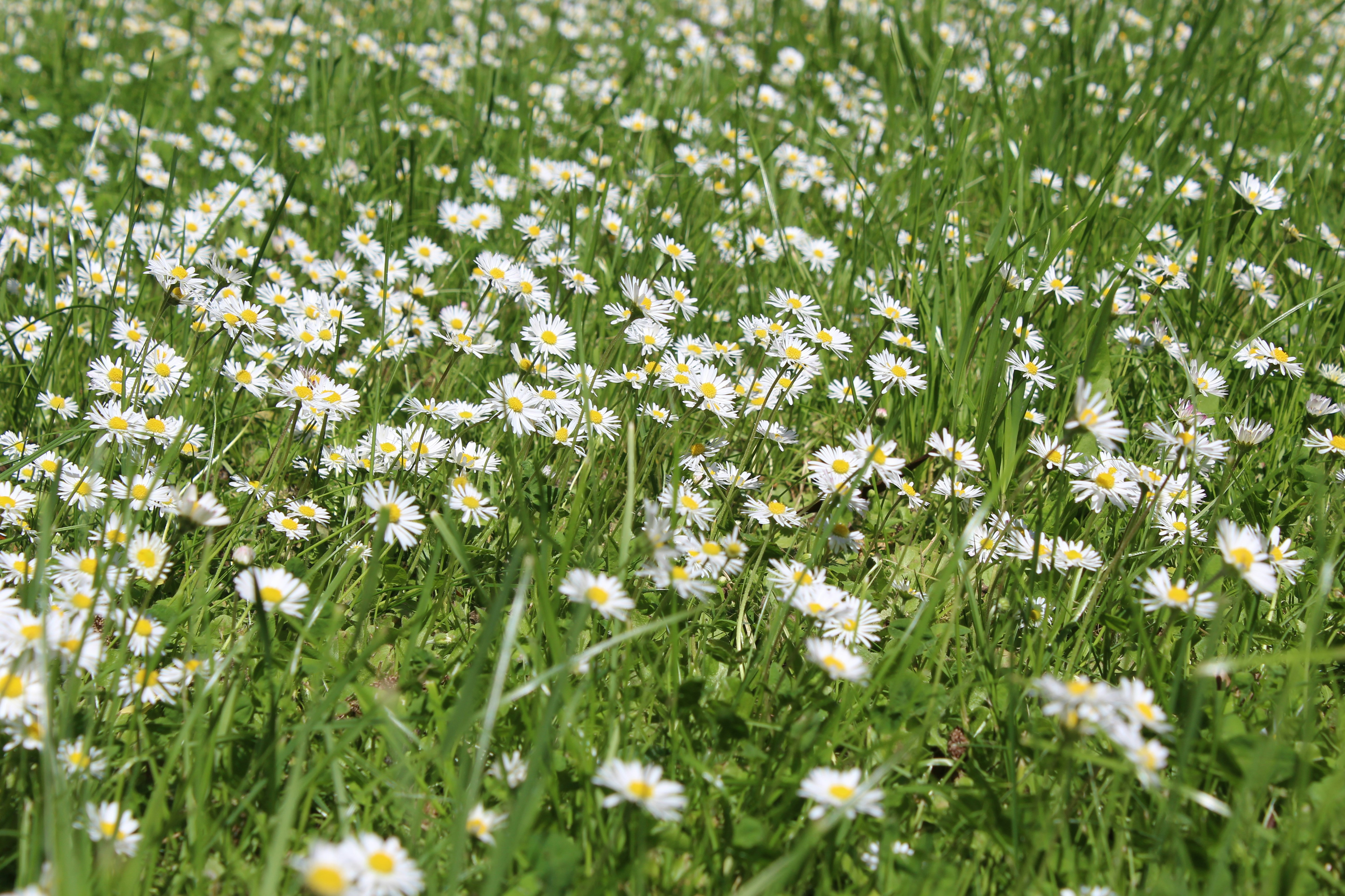 Photo by alys_skowron