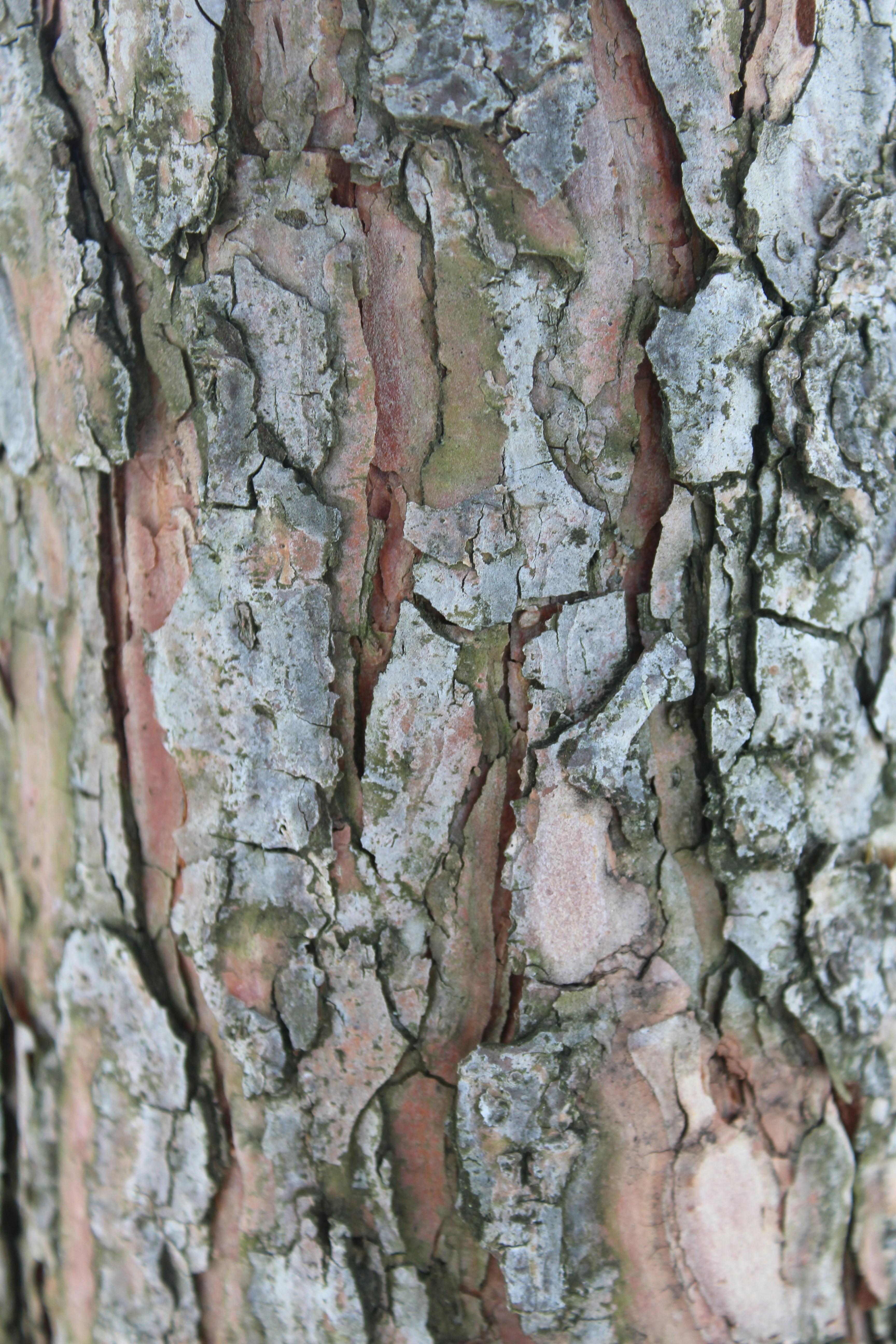 Photo by alys_skowron