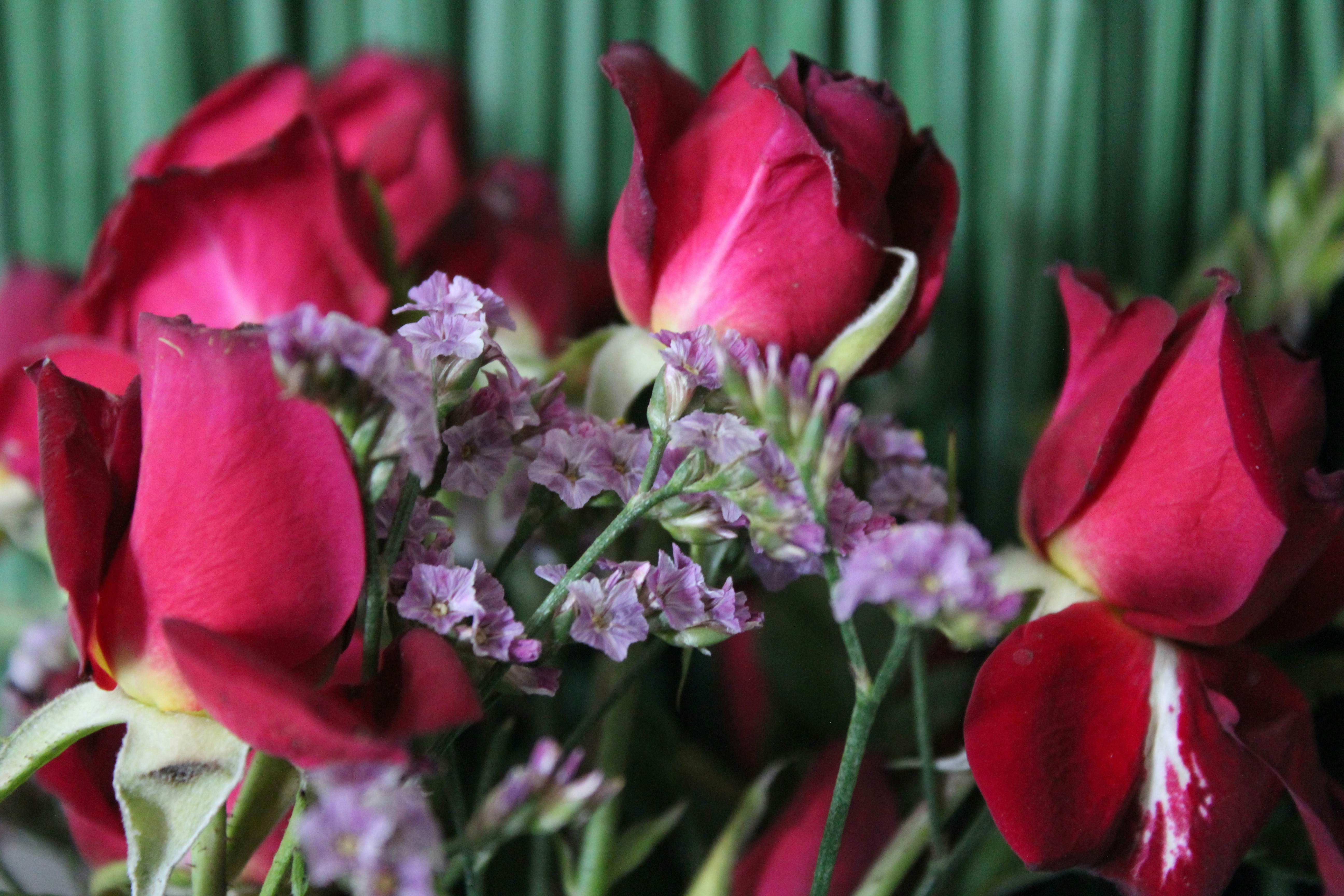 Photo by alys_skowron