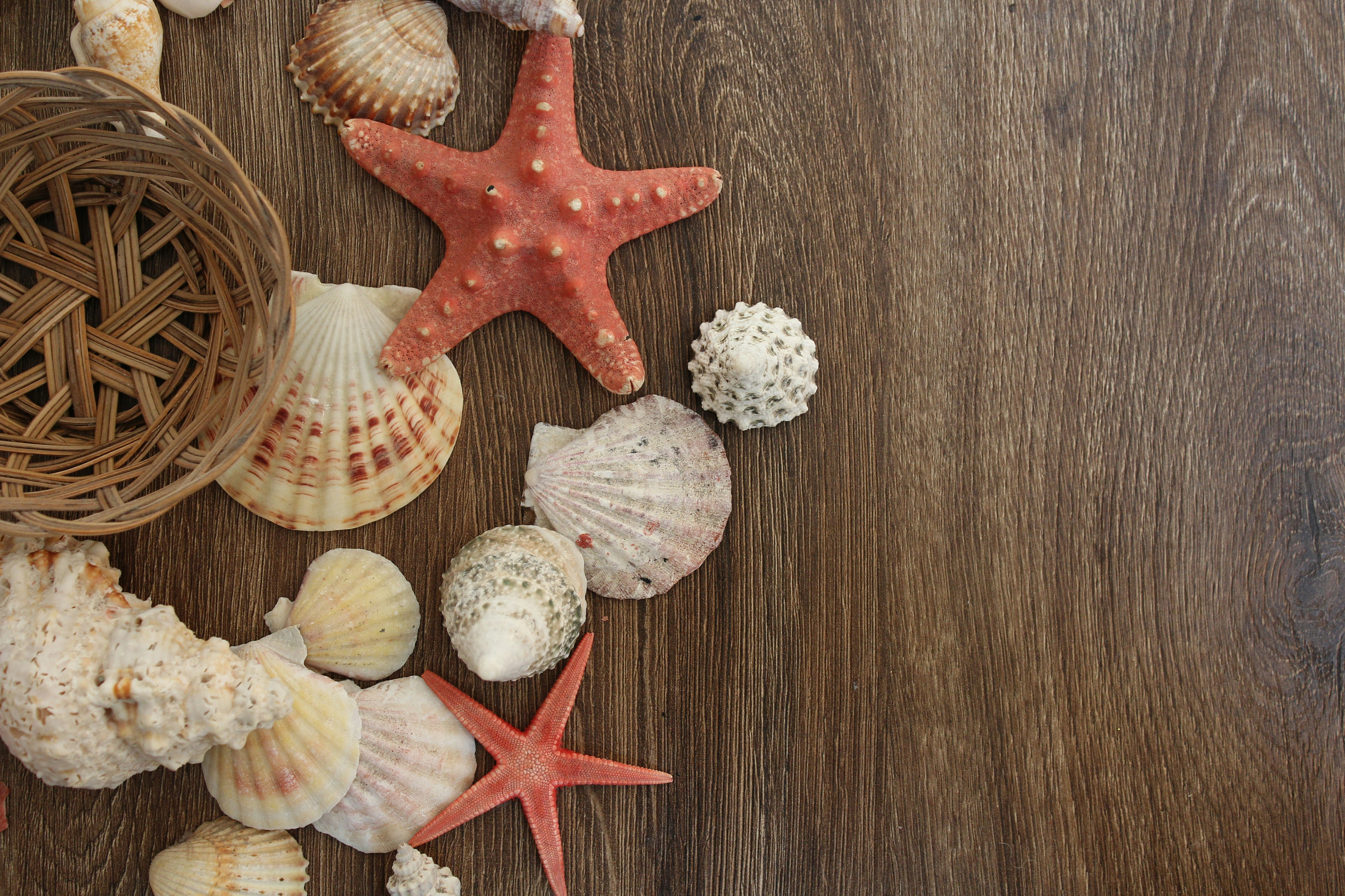 Photo by alys_skowron