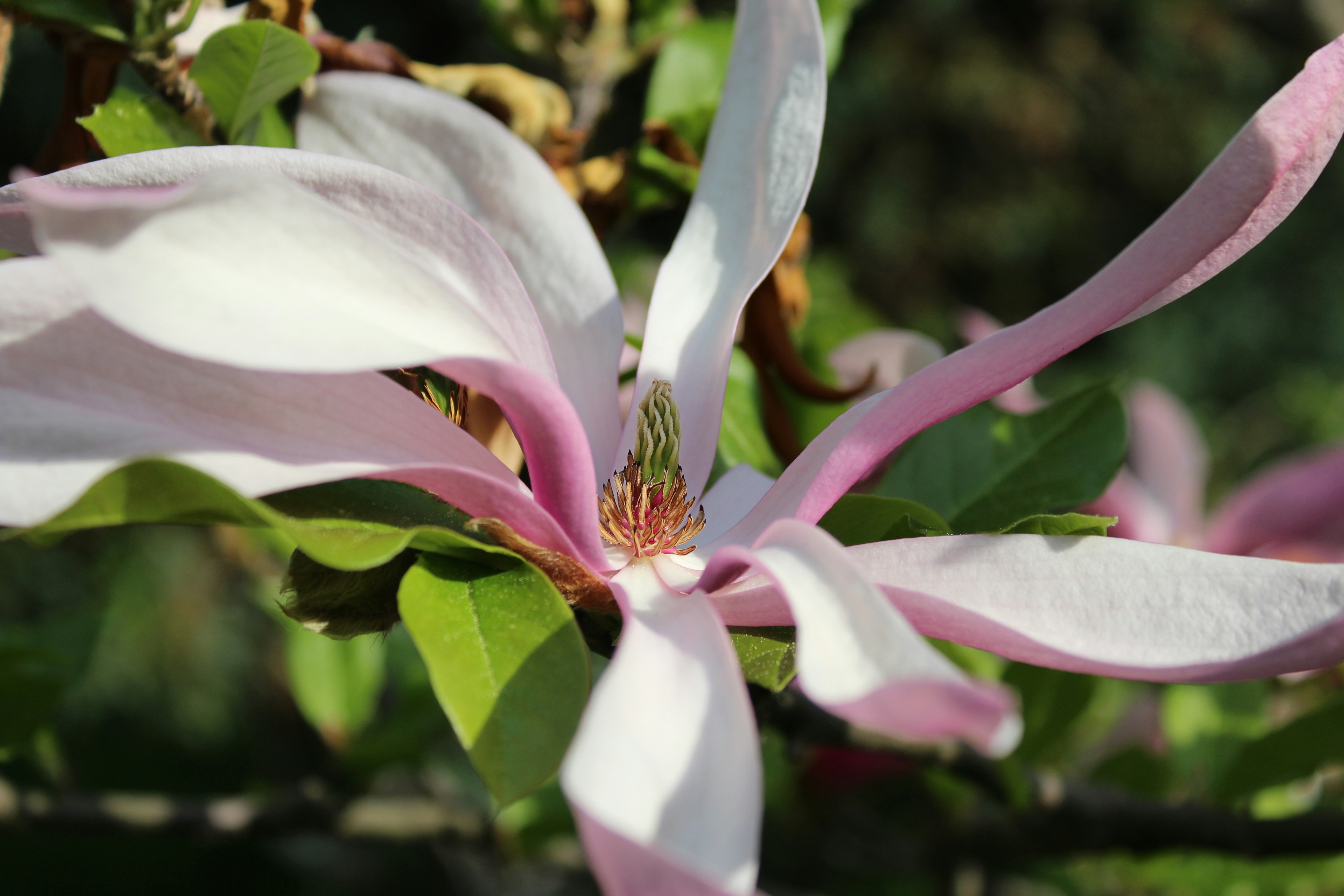 Photo by alys_skowron