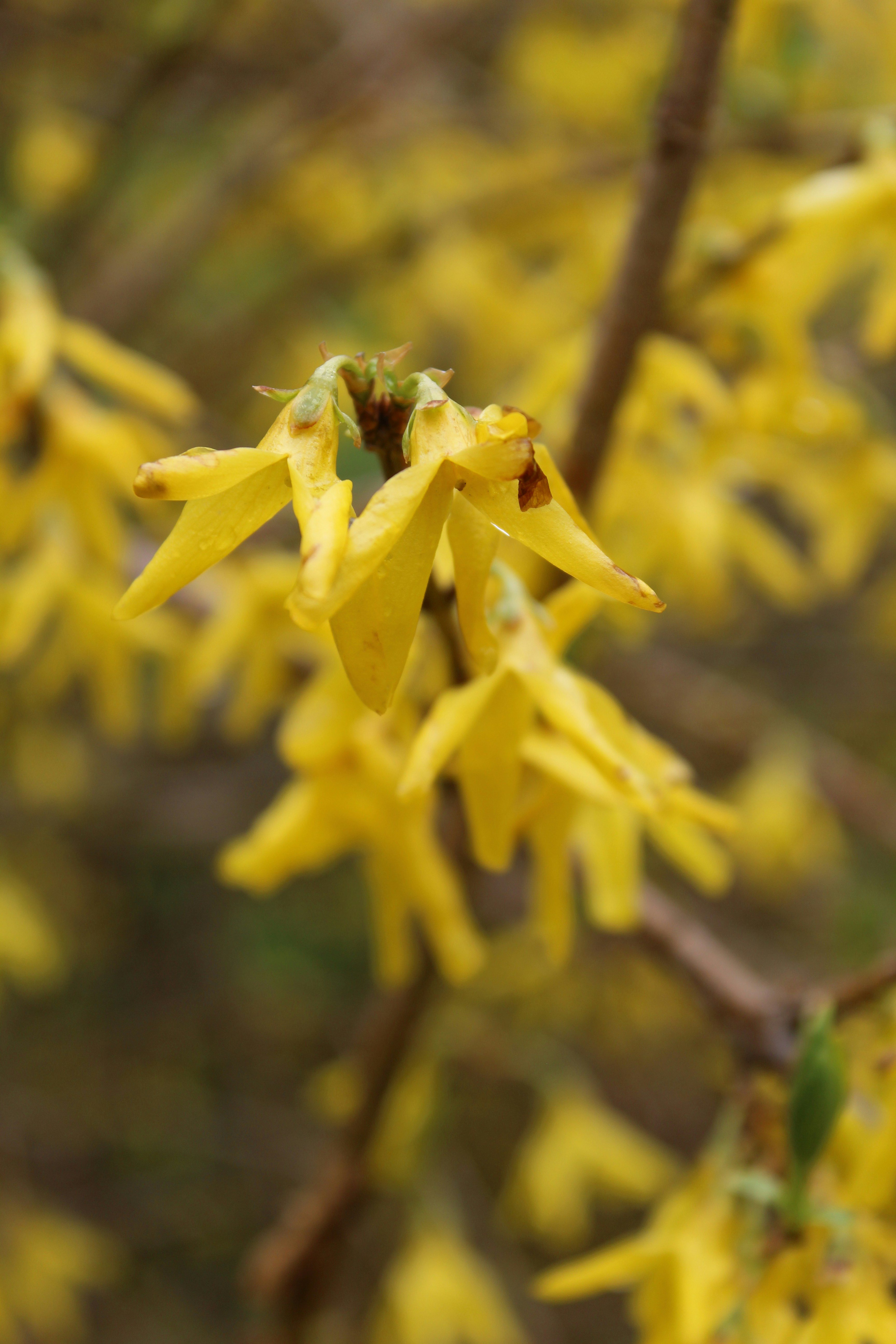 Photo by alys_skowron