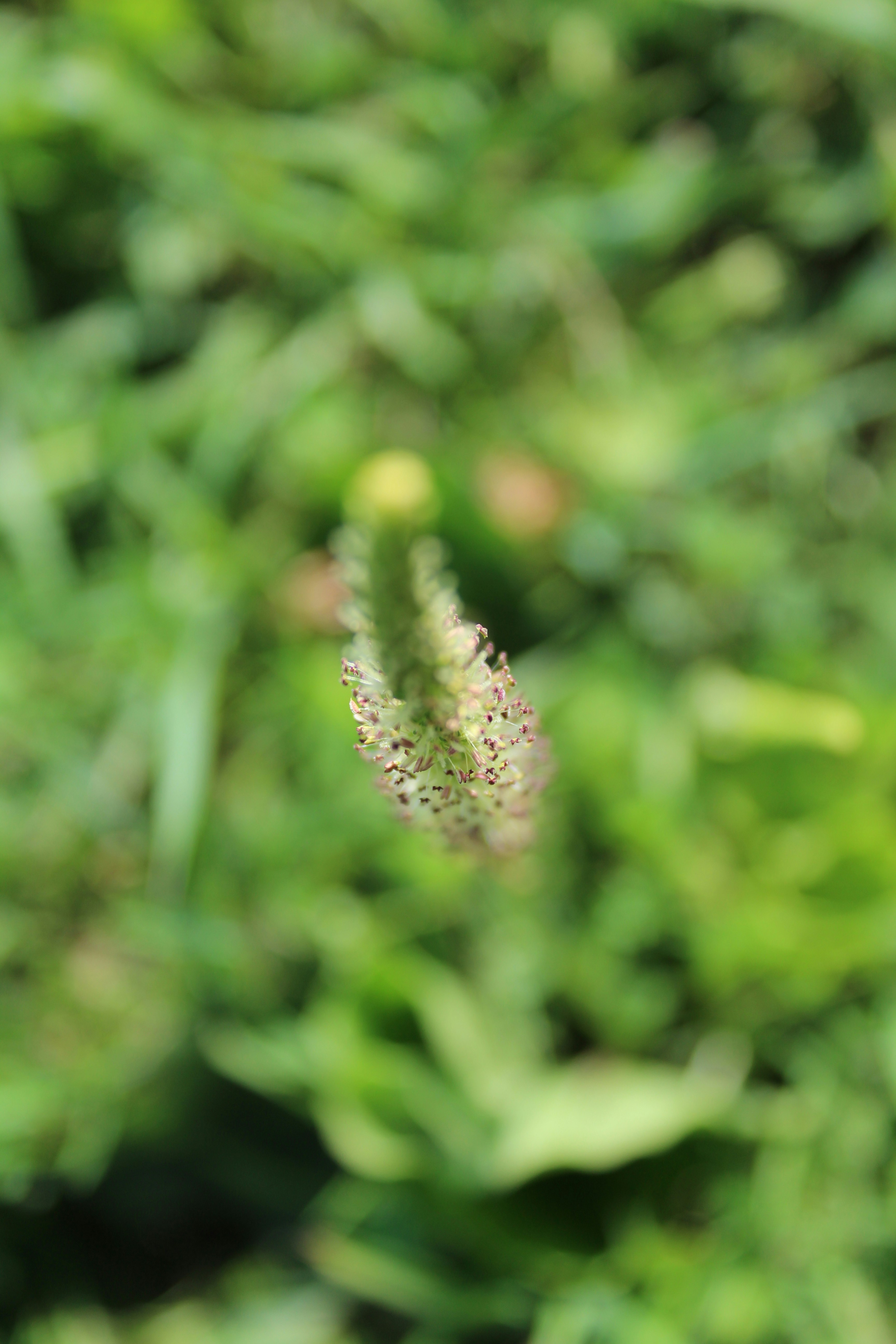 Photo by alys_skowron