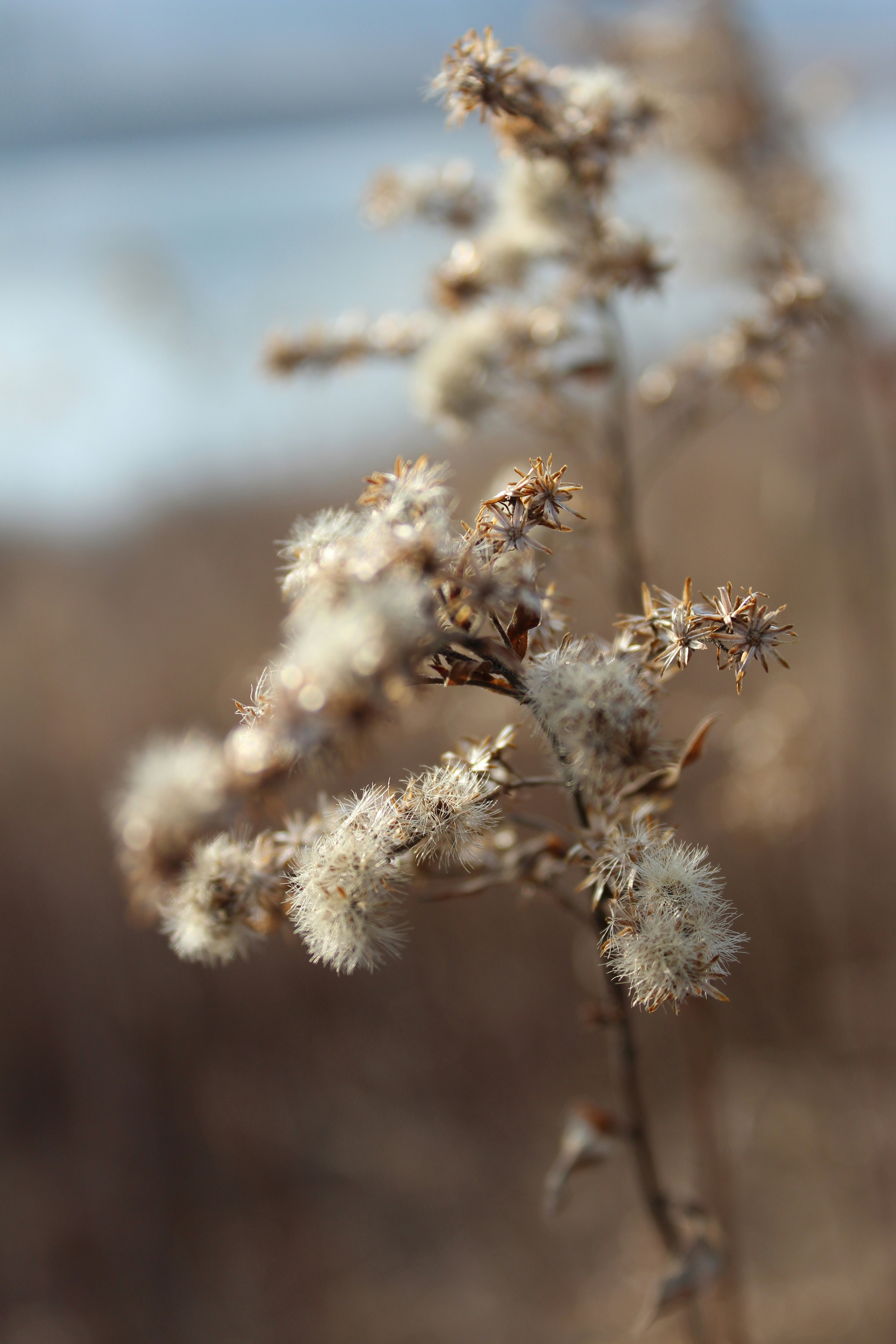 Photo by alys_skowron