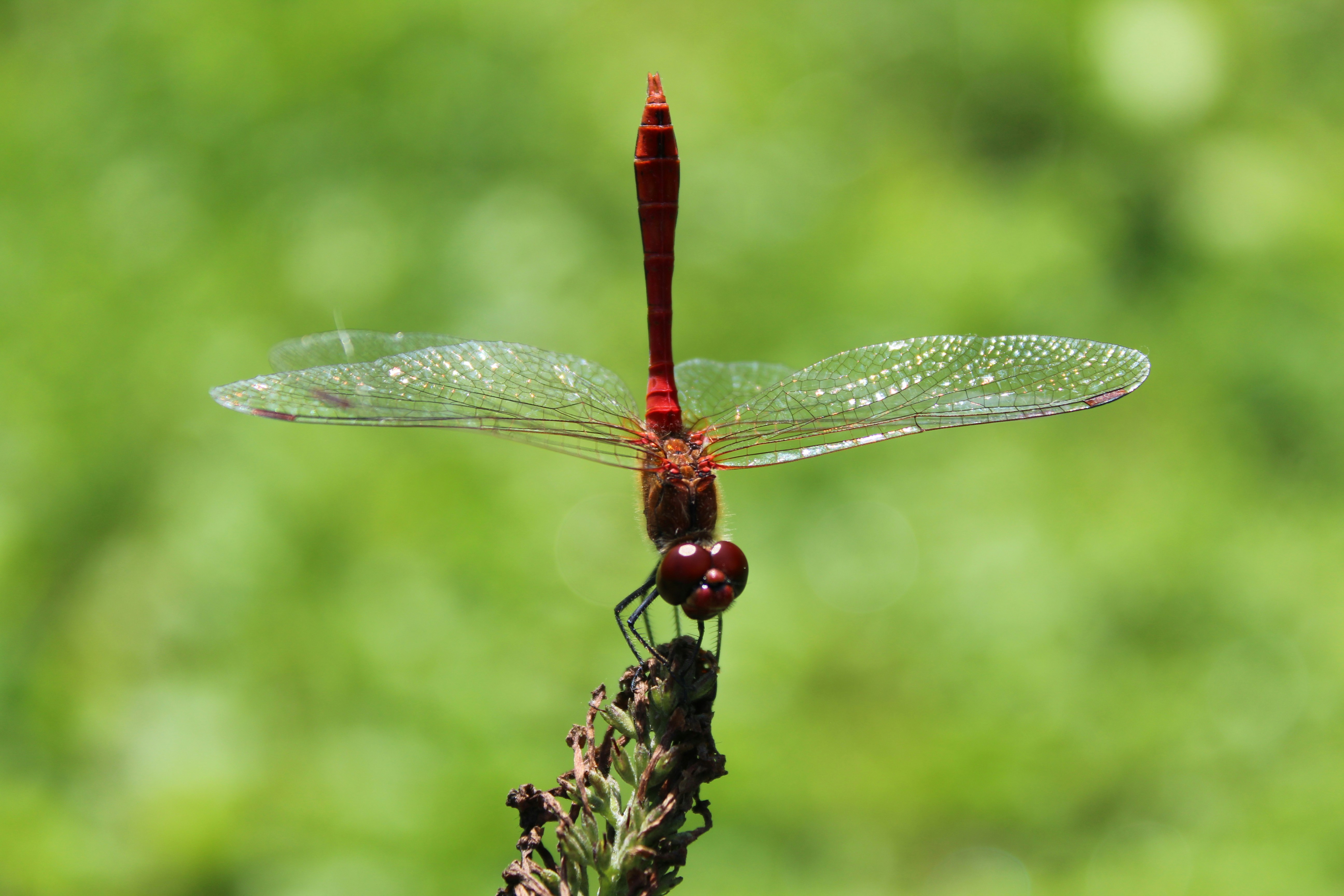 Photo by alys_skowron