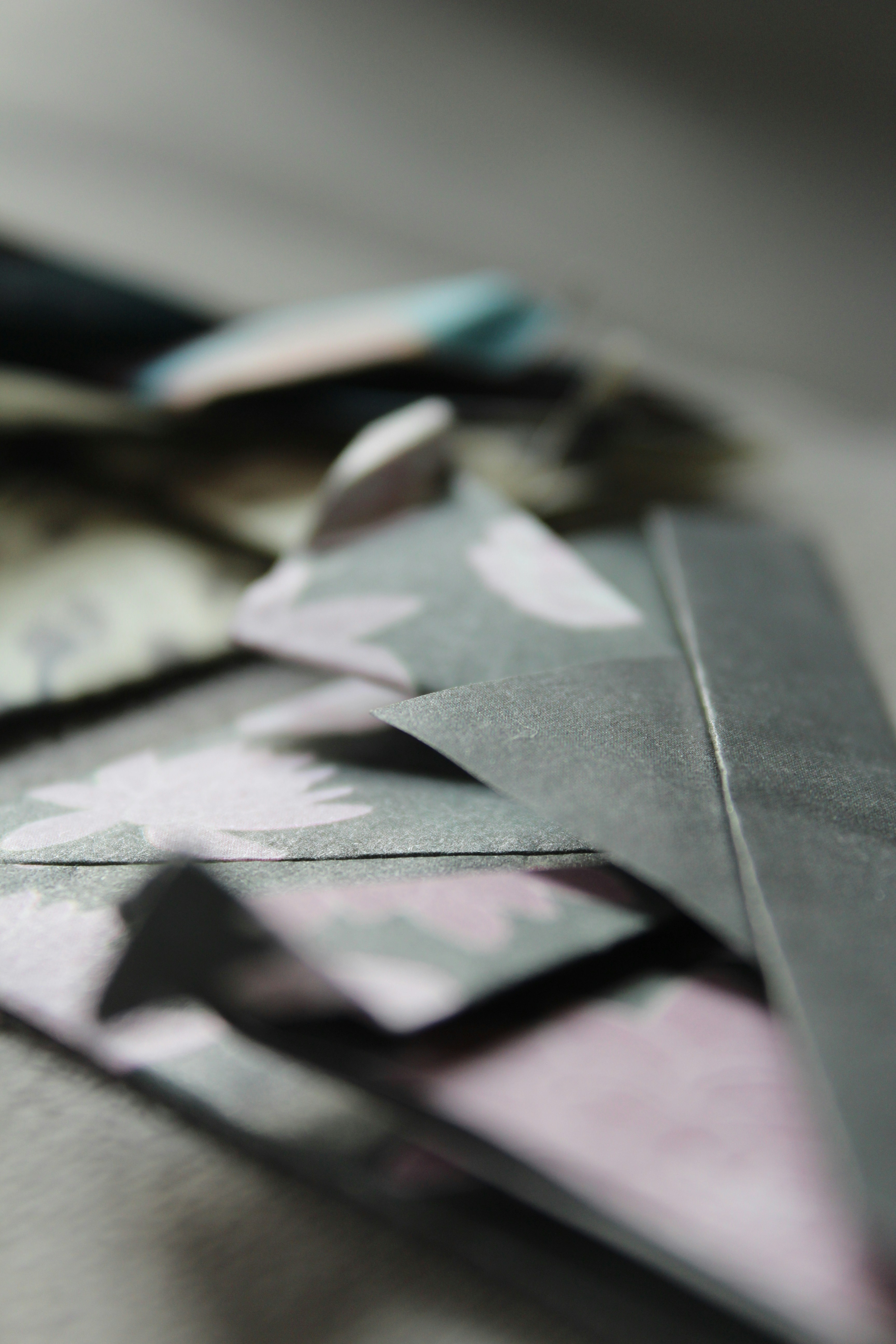 Photo by alys_skowron