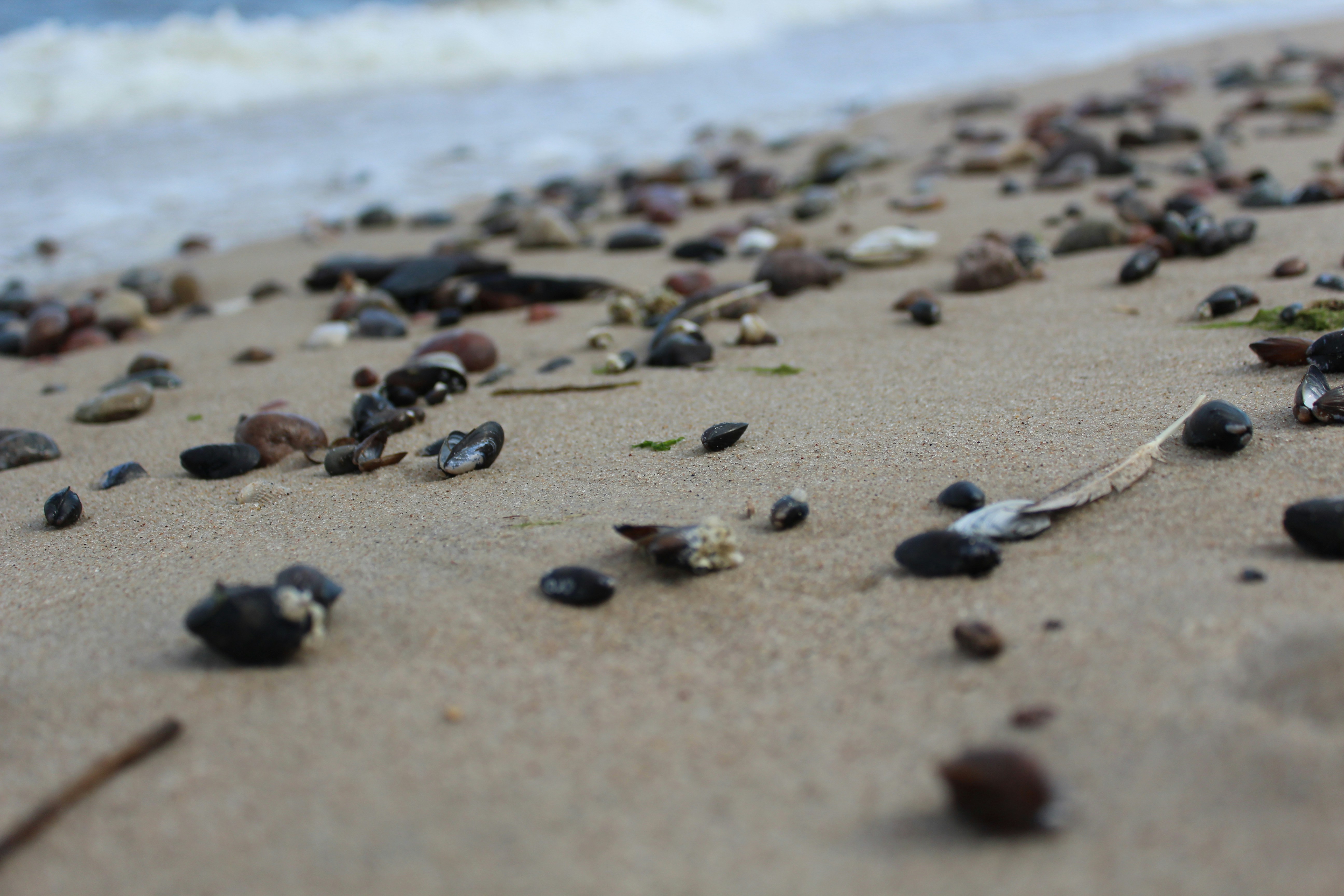 Photo by alys_skowron