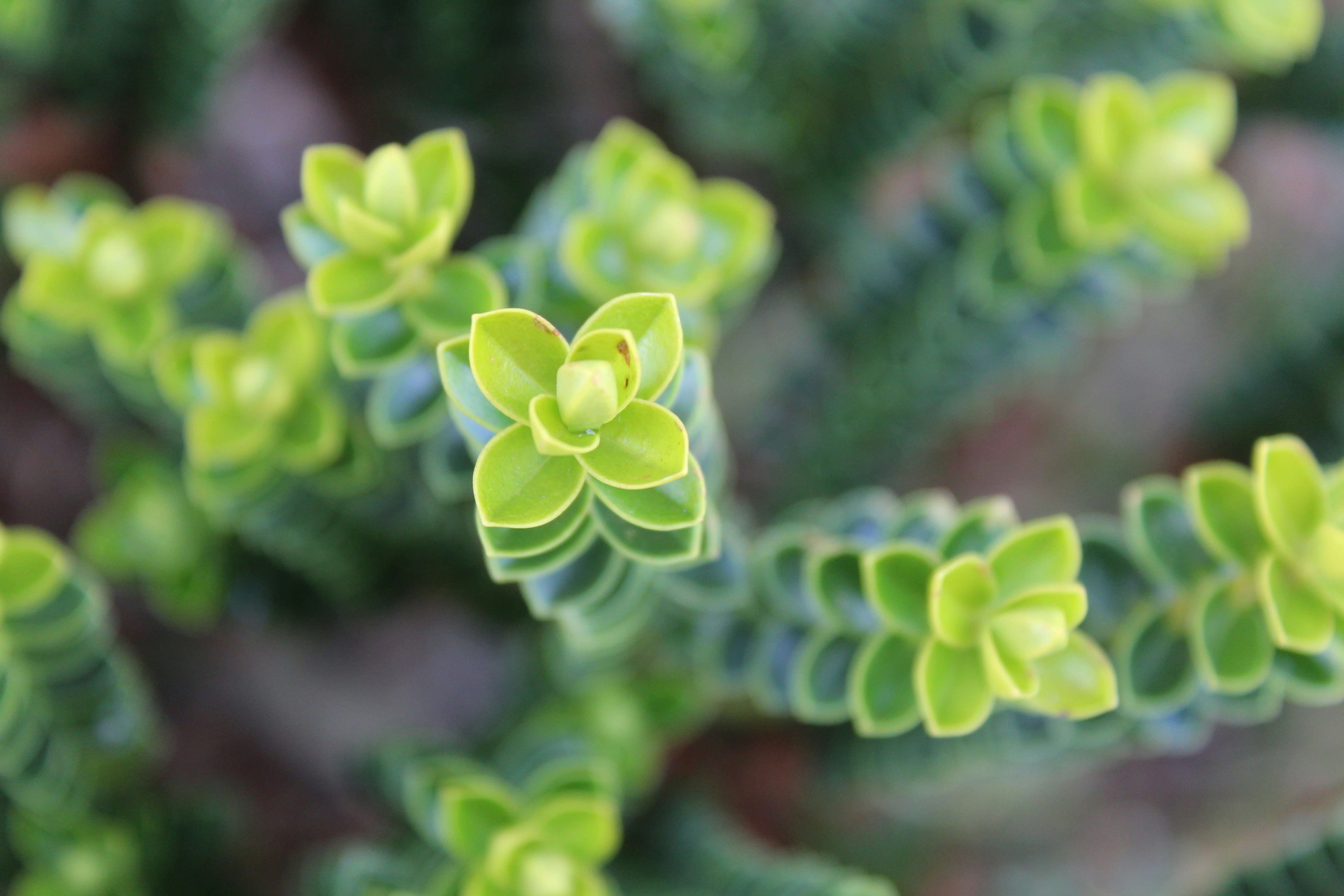 Photo by alys_skowron