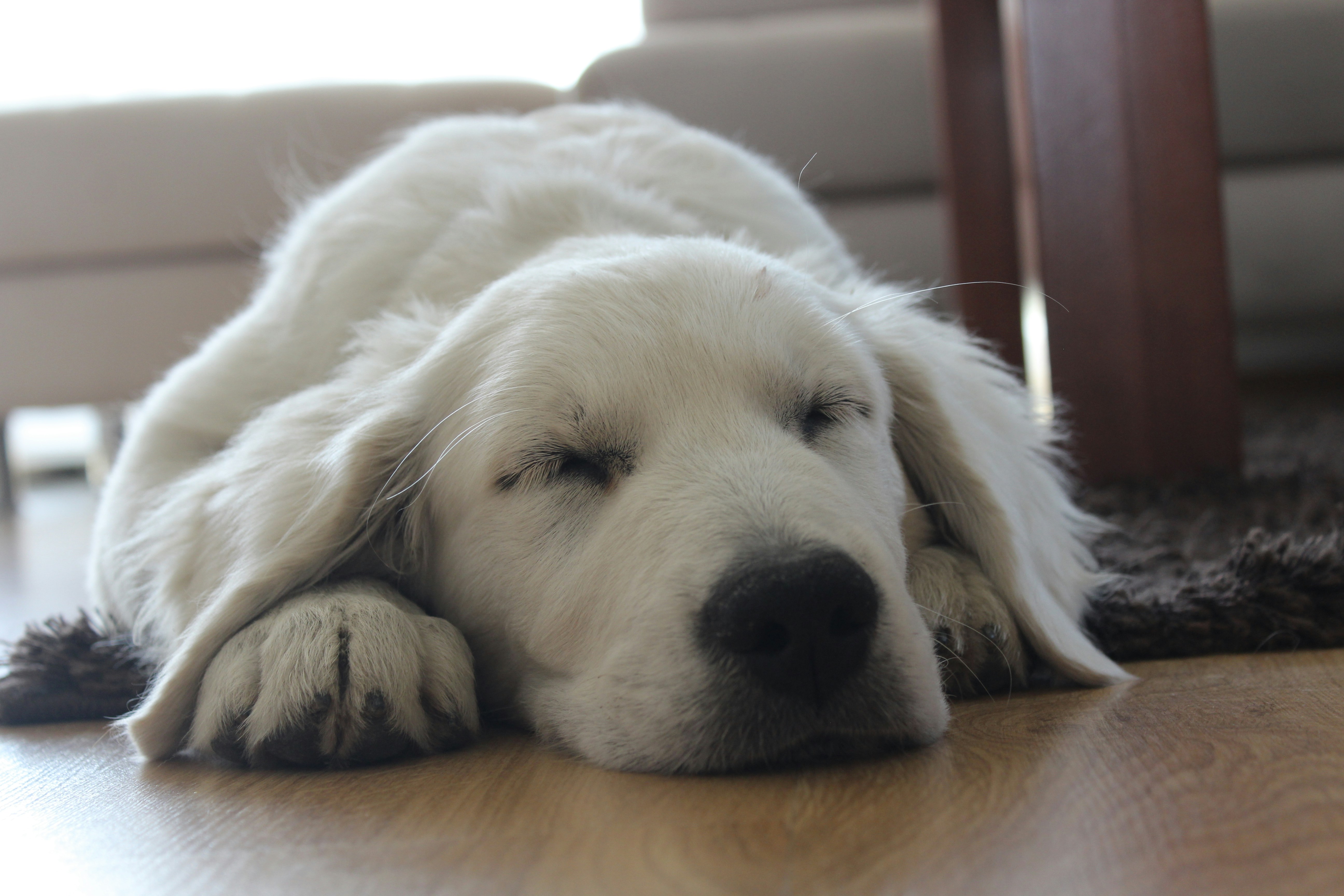 Photo by alys_skowron