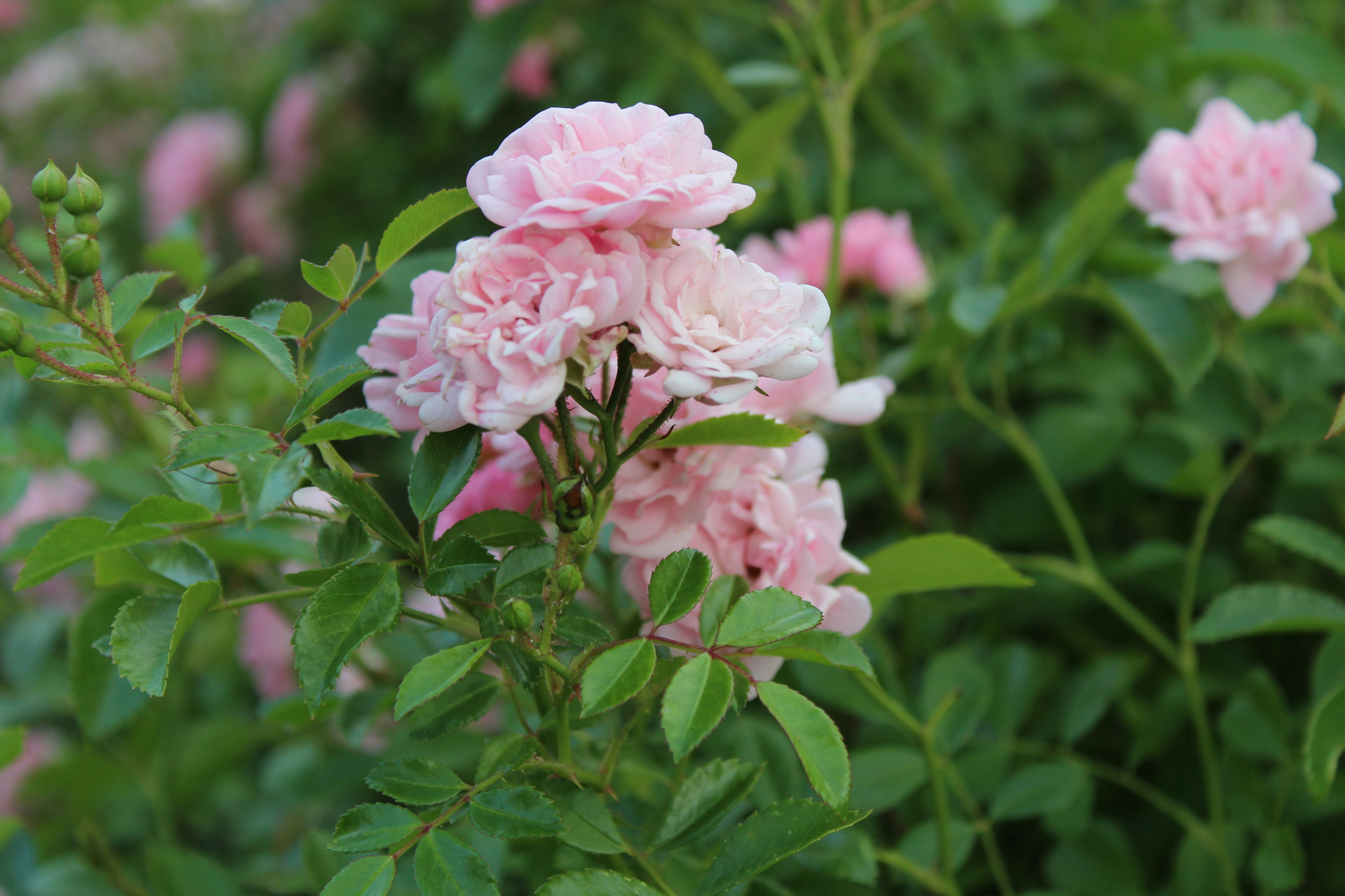 Photo by alys_skowron