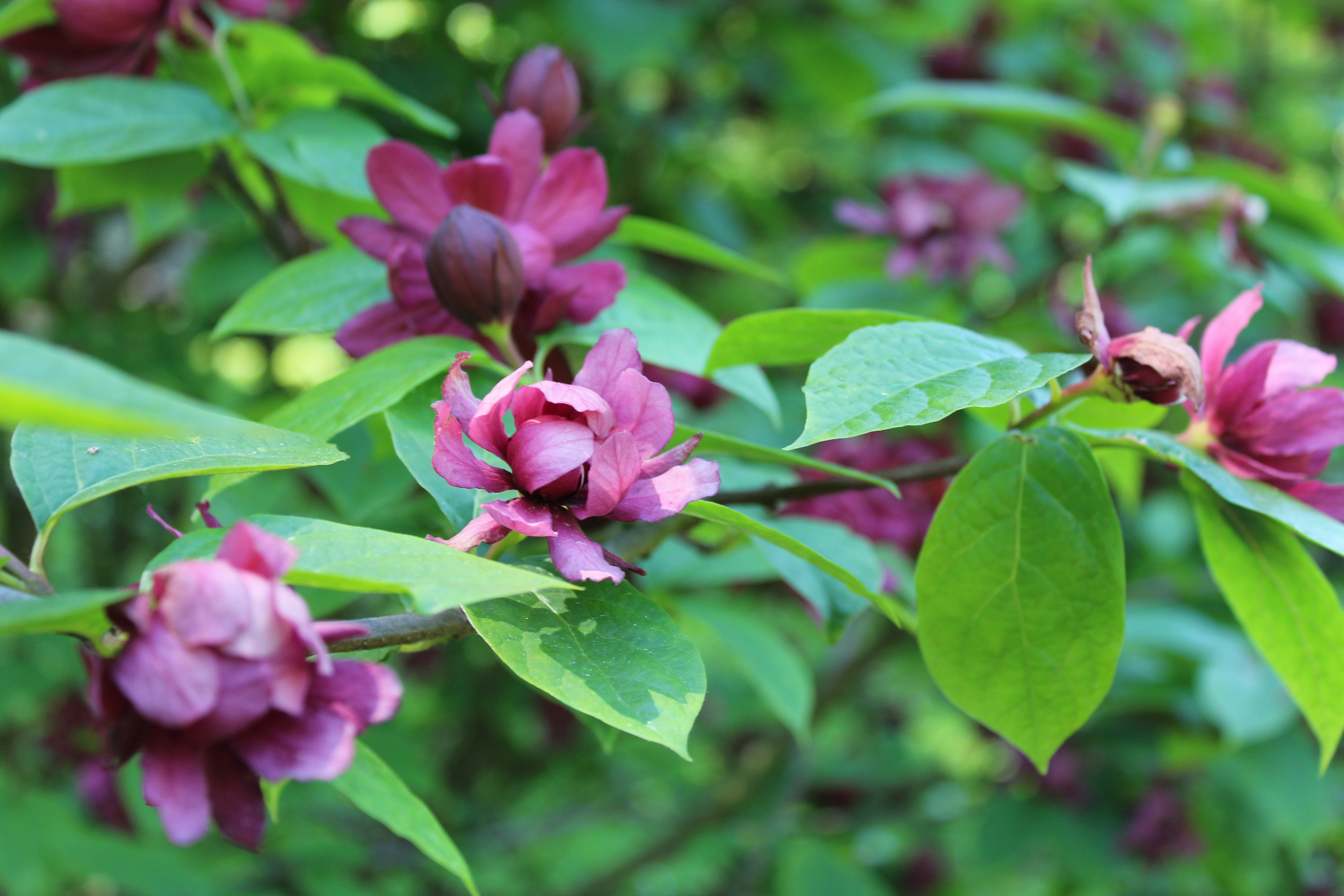 Photo by alys_skowron