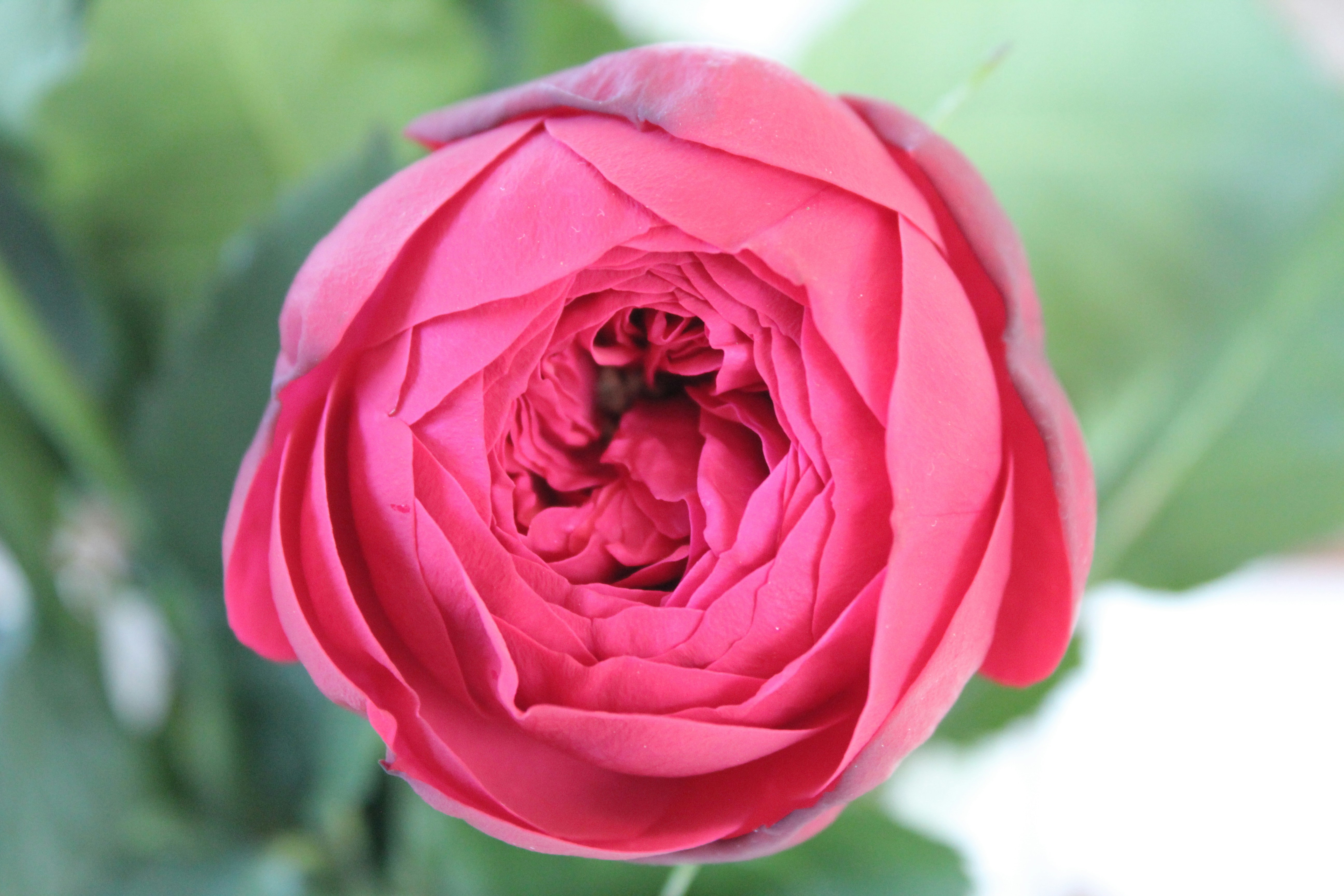 Photo by alys_skowron