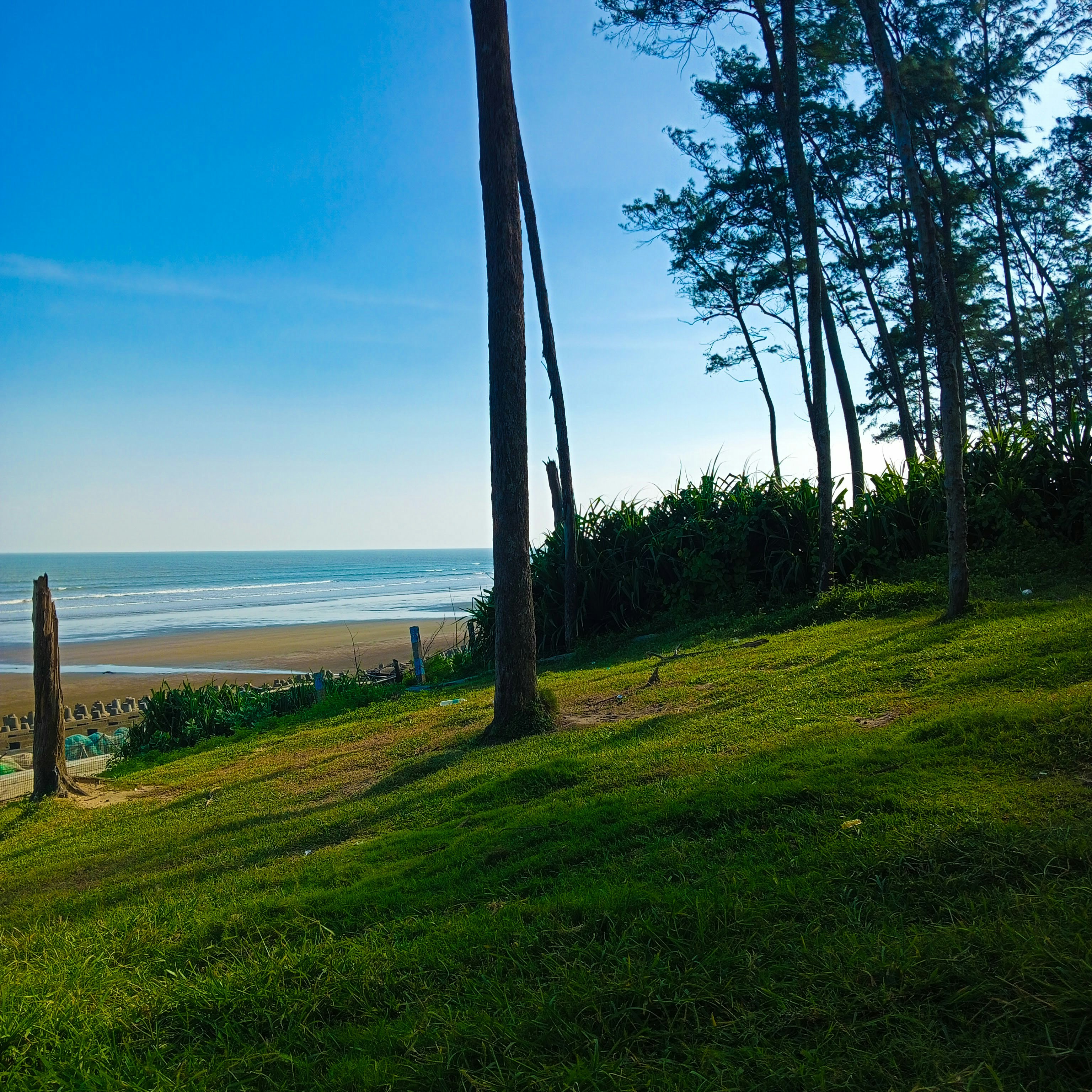 Pemandangan laut dari bukit berumput