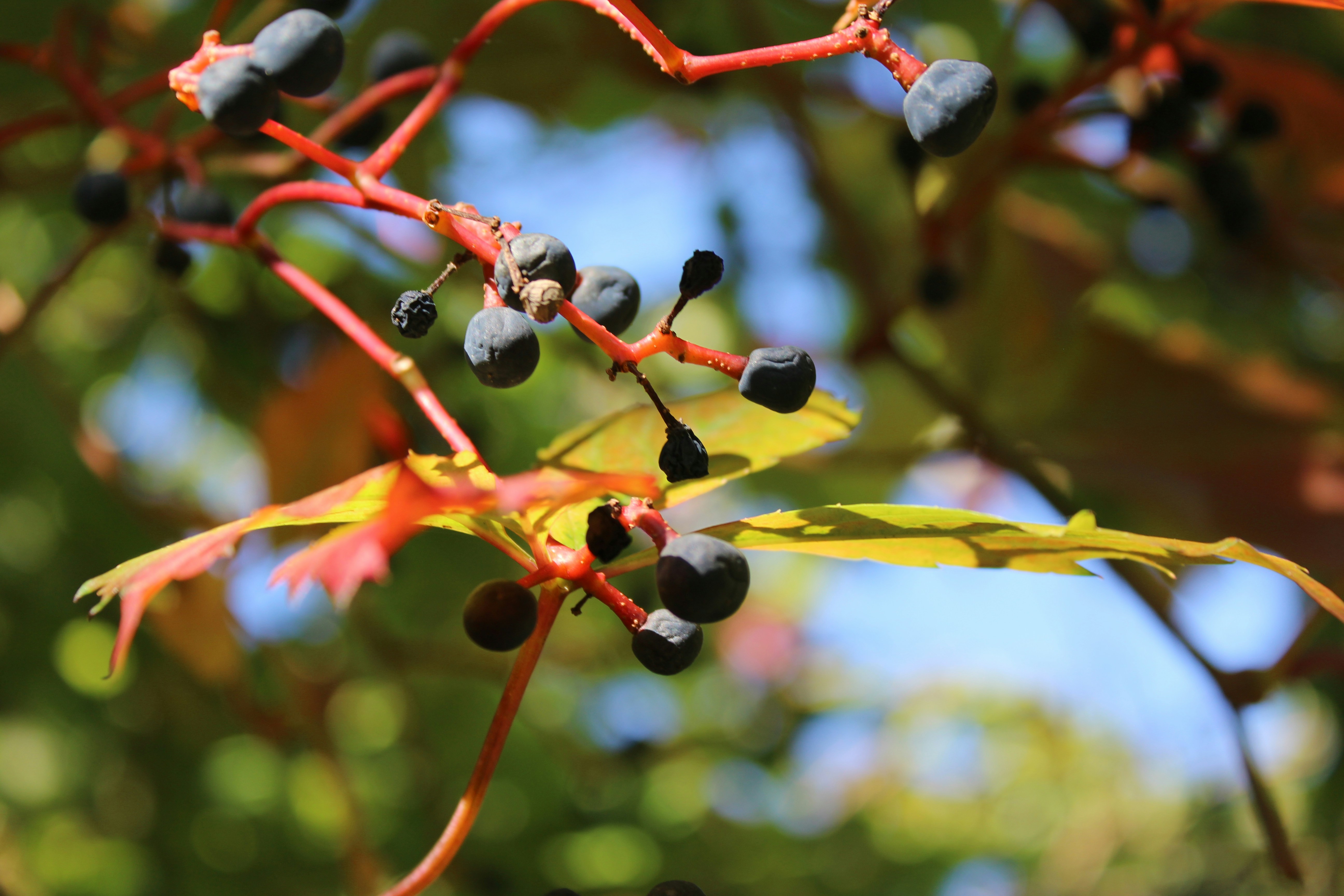 Photo by alys_skowron