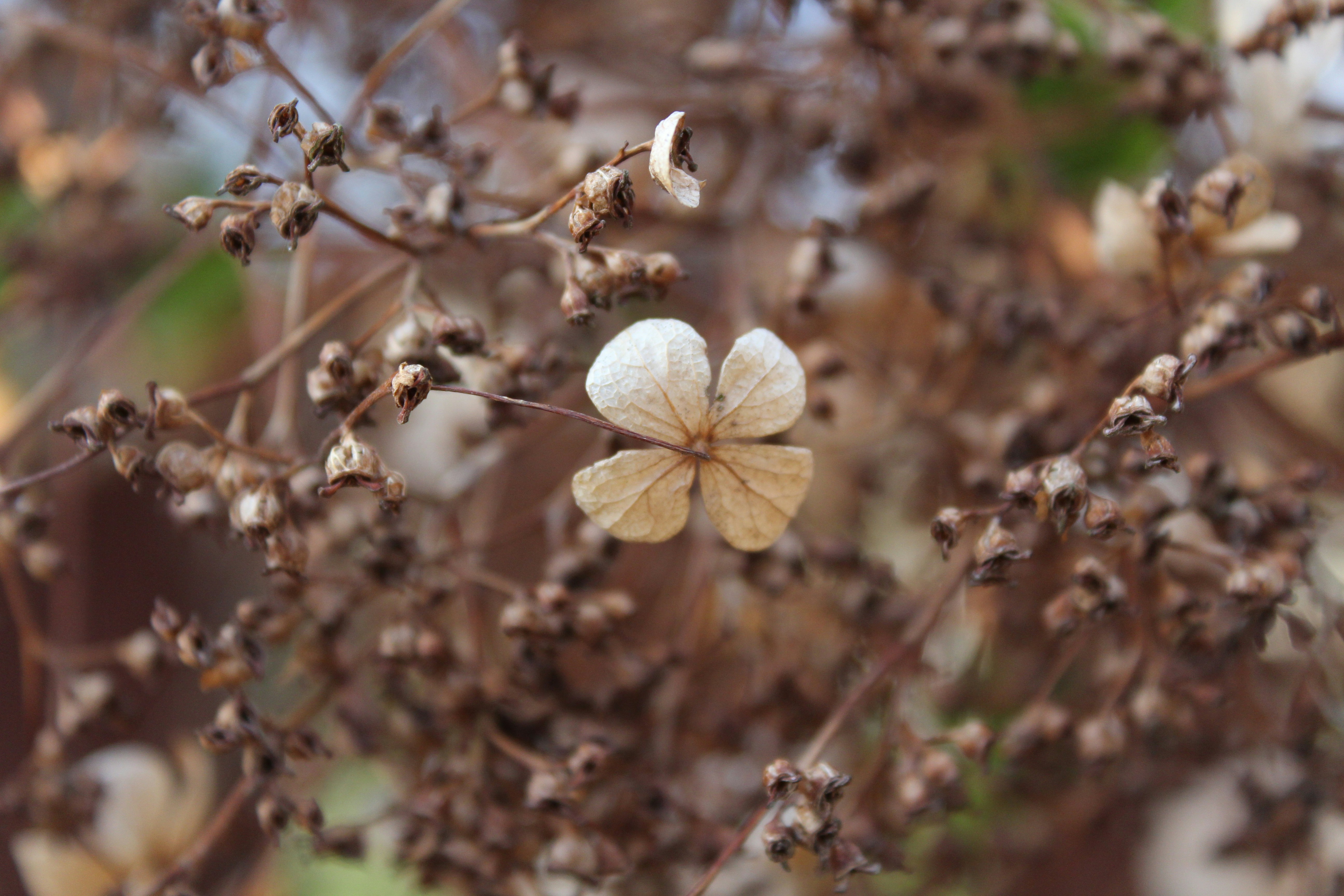 Photo by alys_skowron