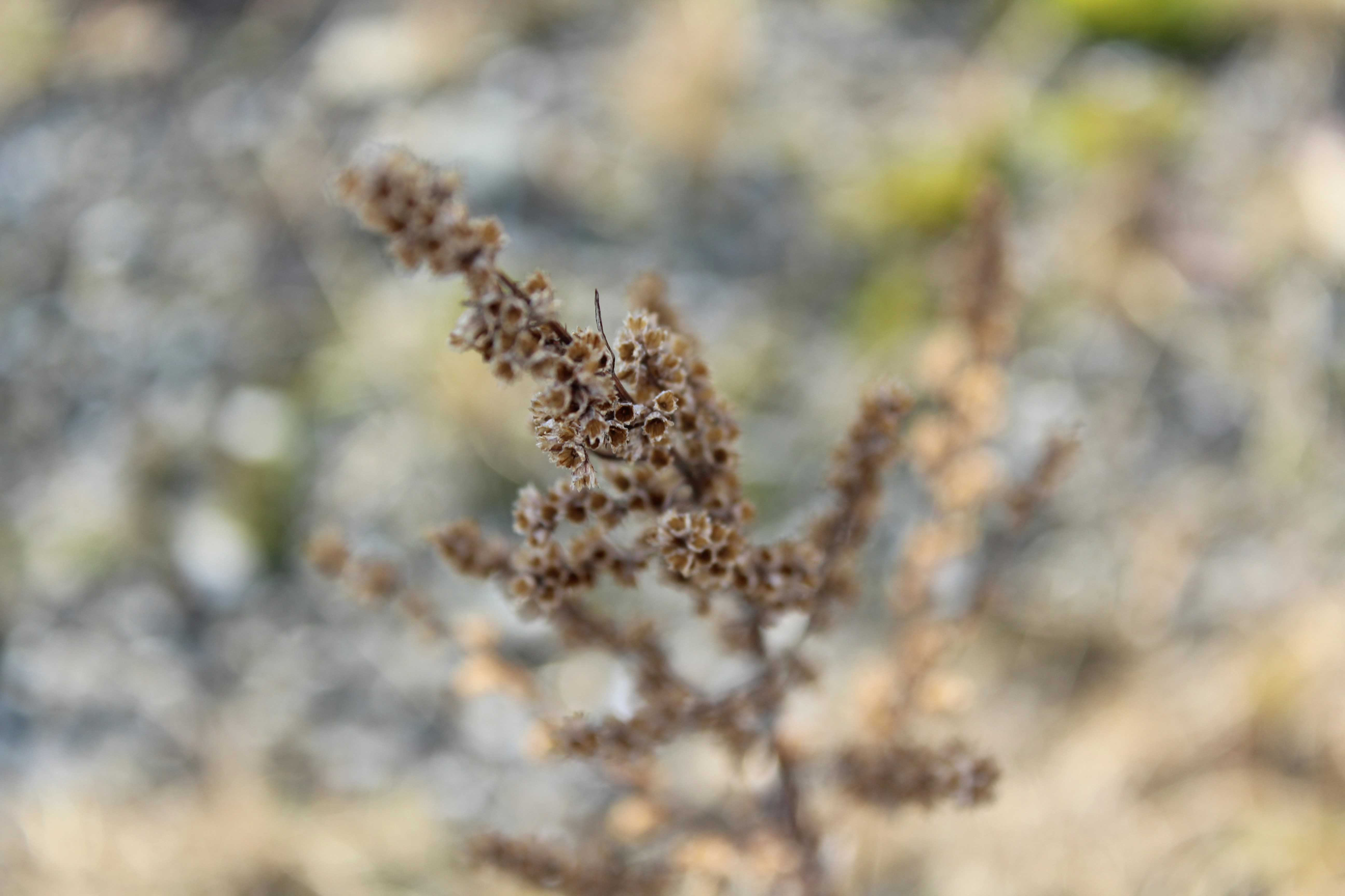 Photo by alys_skowron